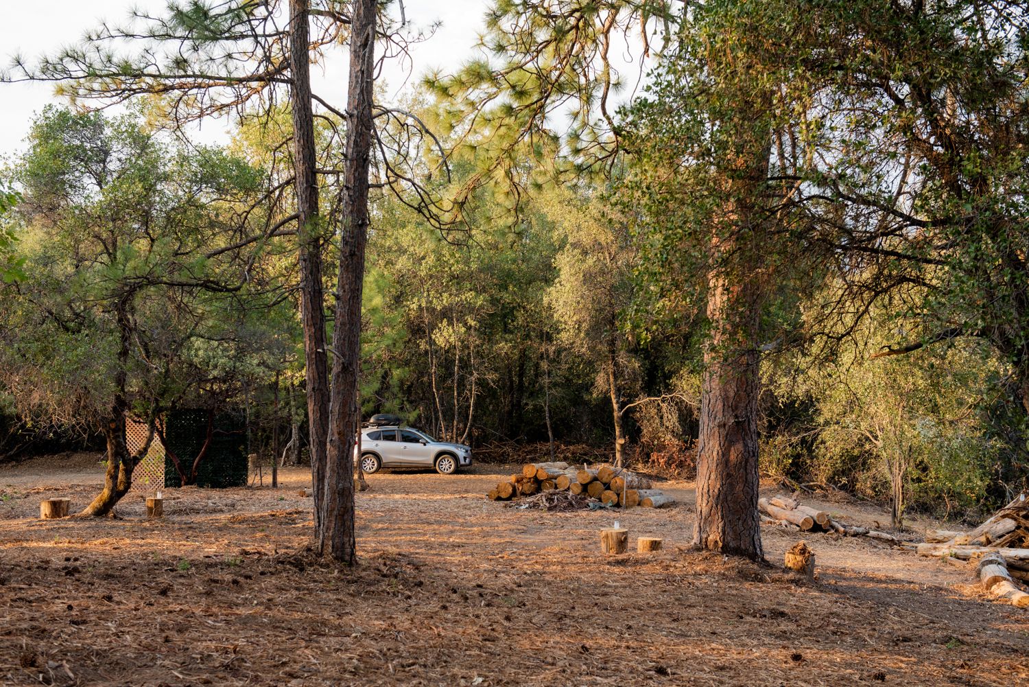 Robinson Mine Basecamp