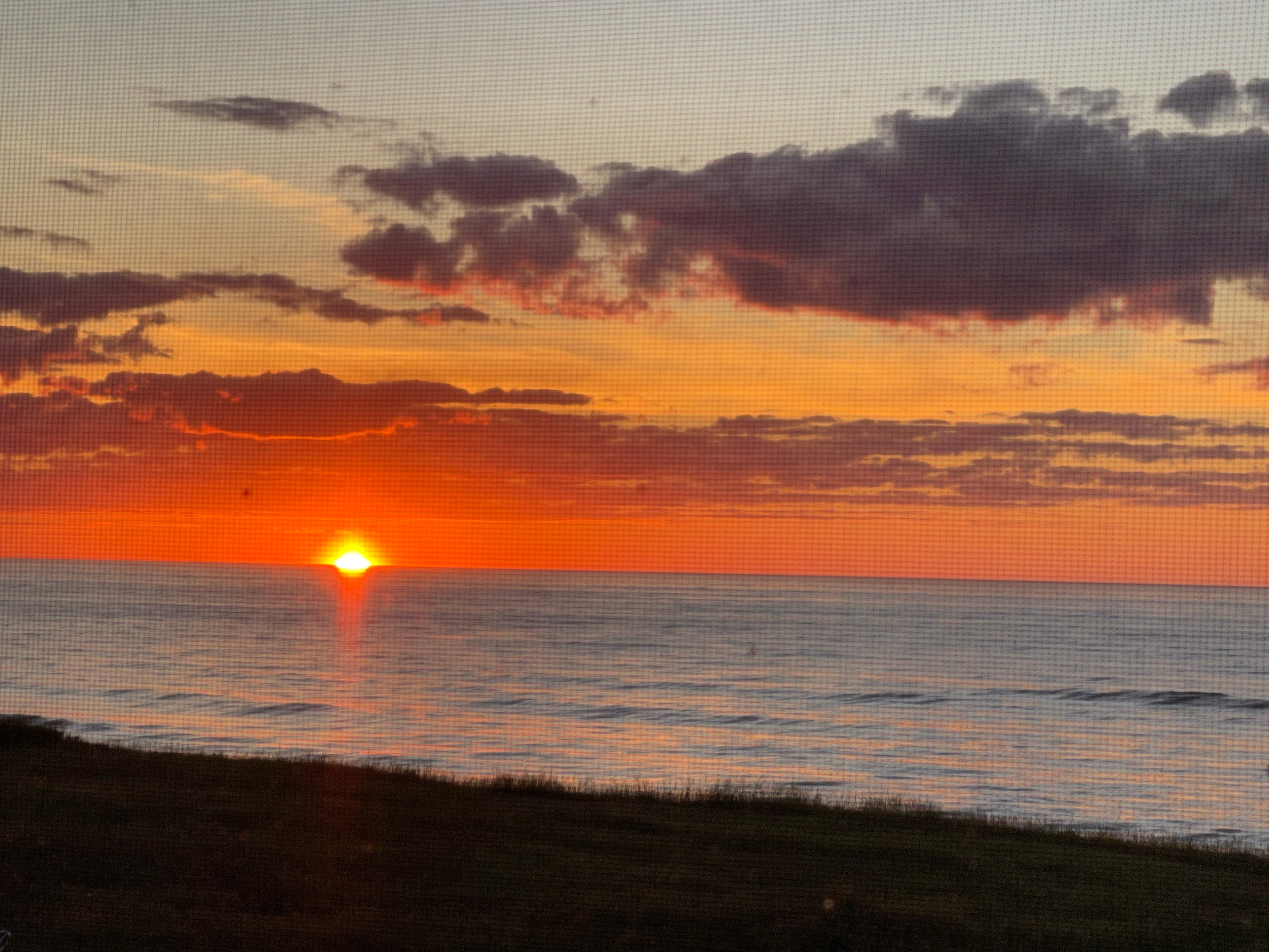 Peace and Friendship