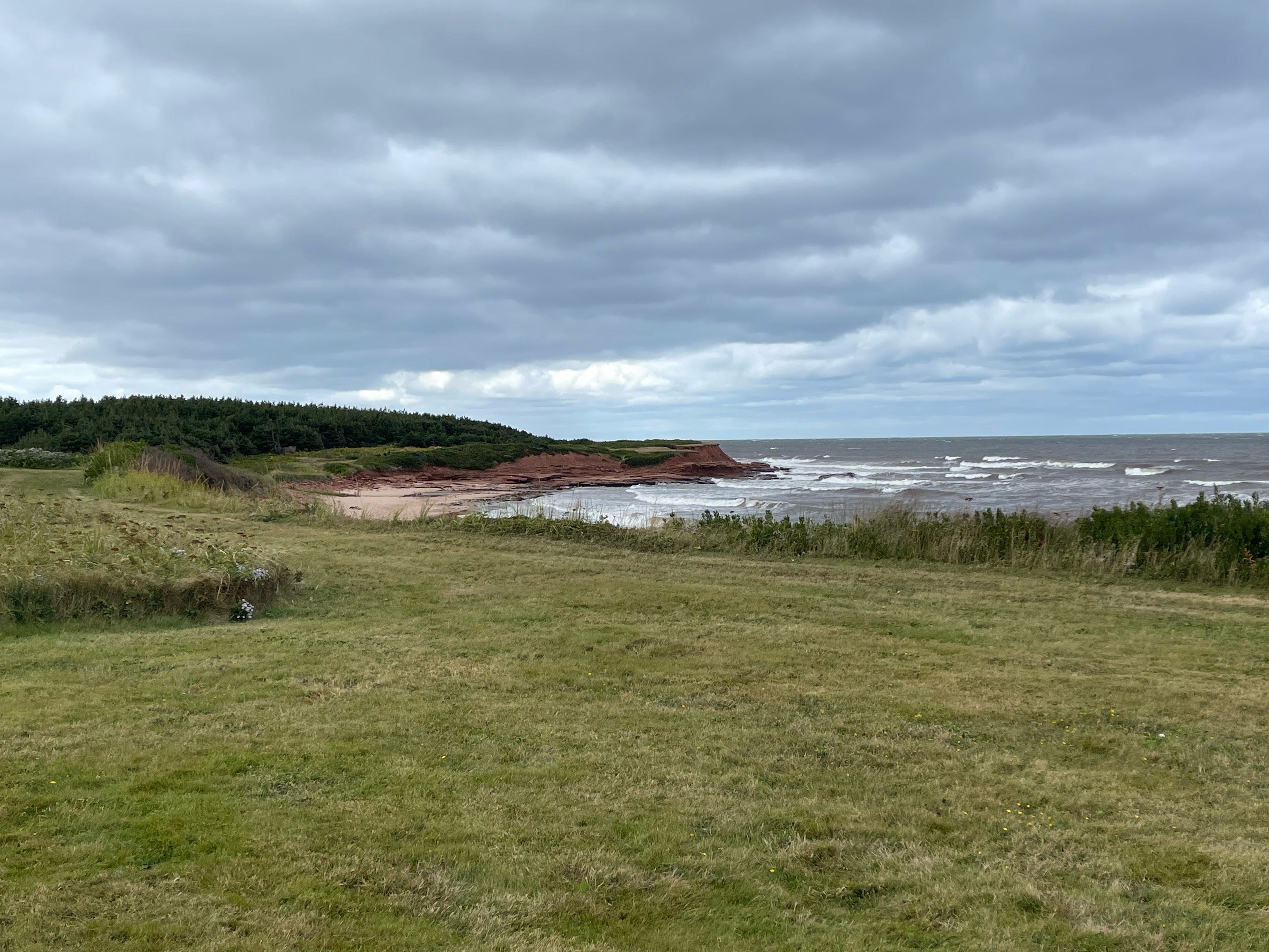 Peace and Friendship