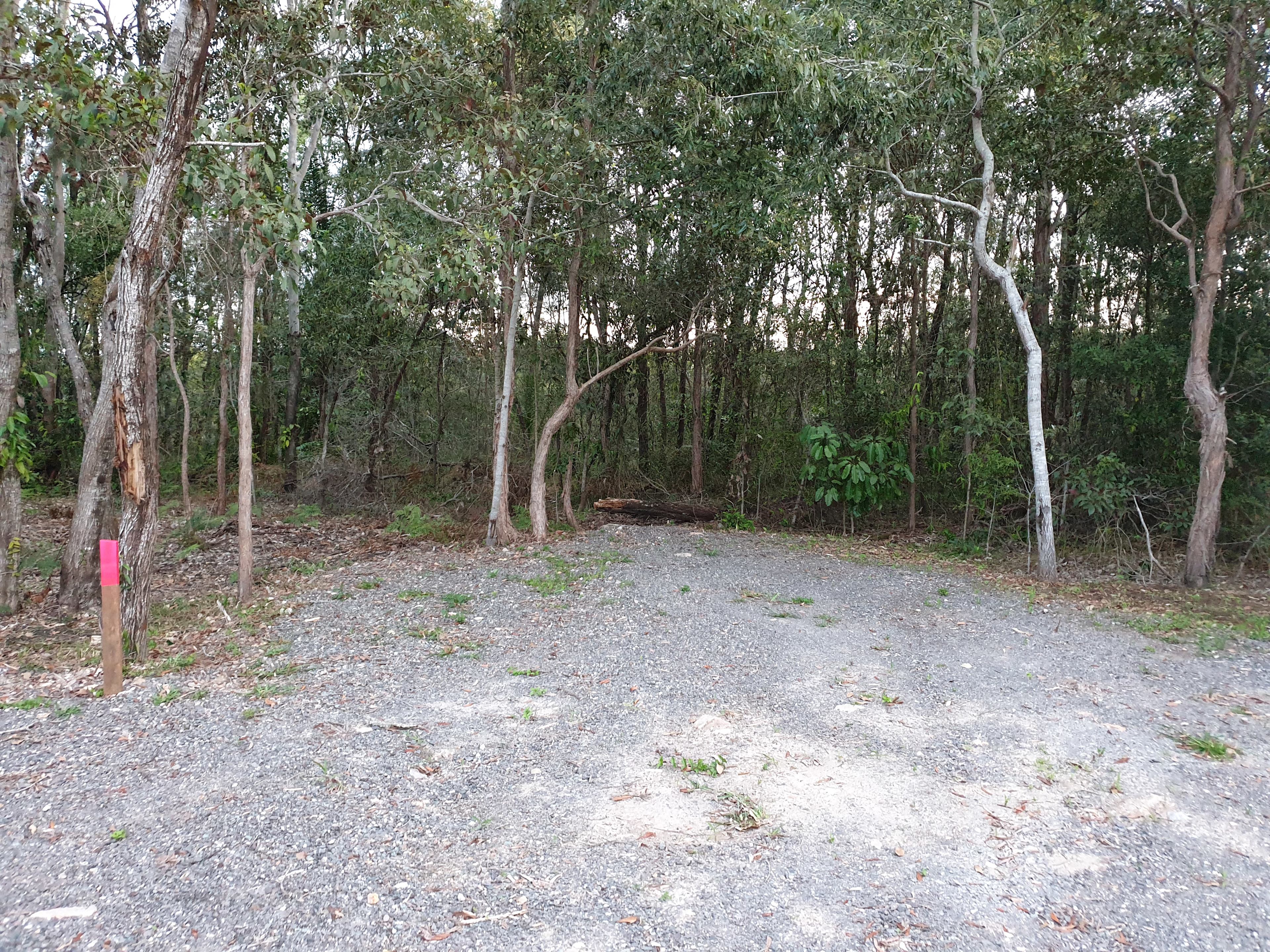 Conservation Camping at Maroochy