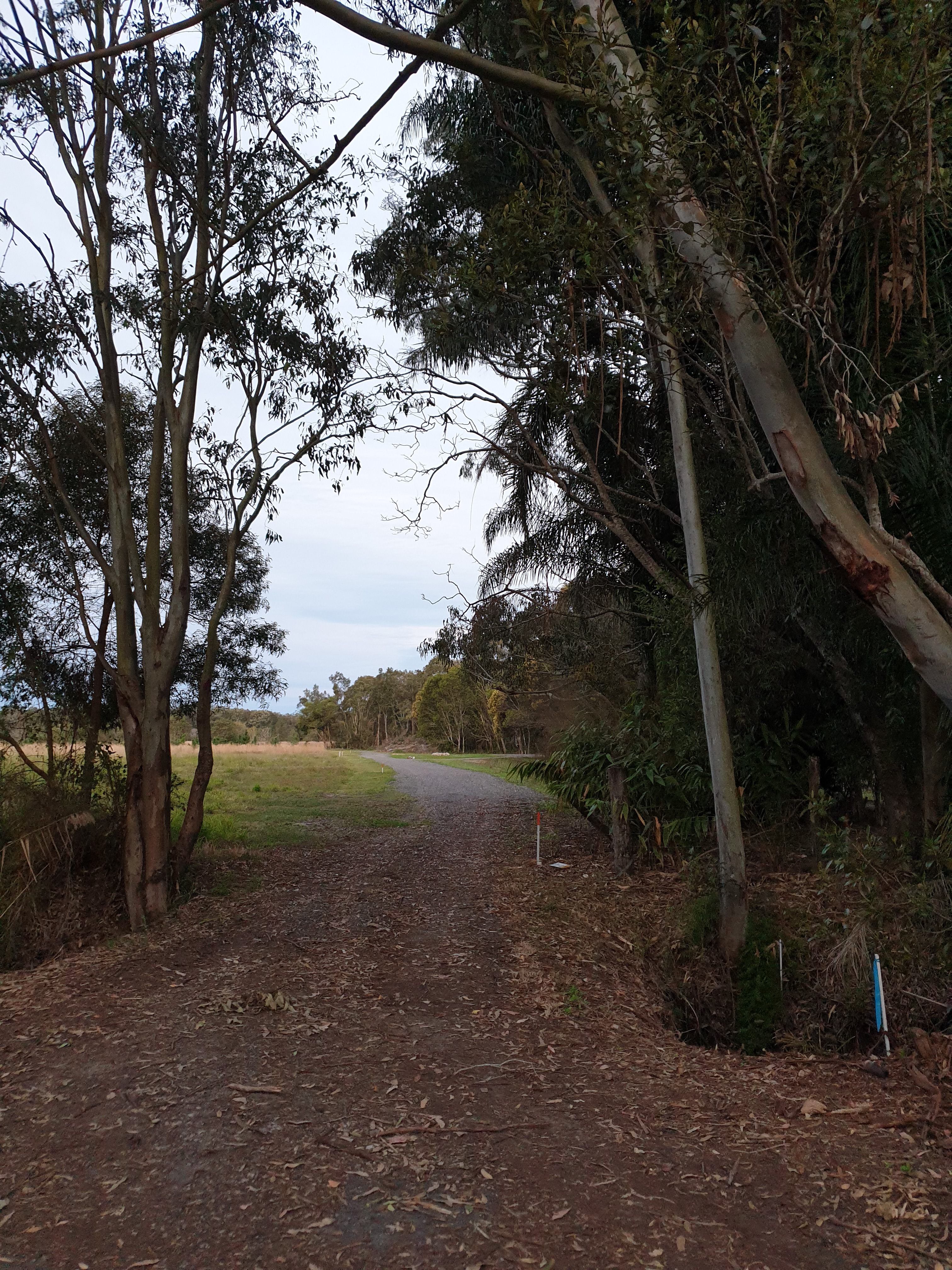Conservation Camping at Maroochy