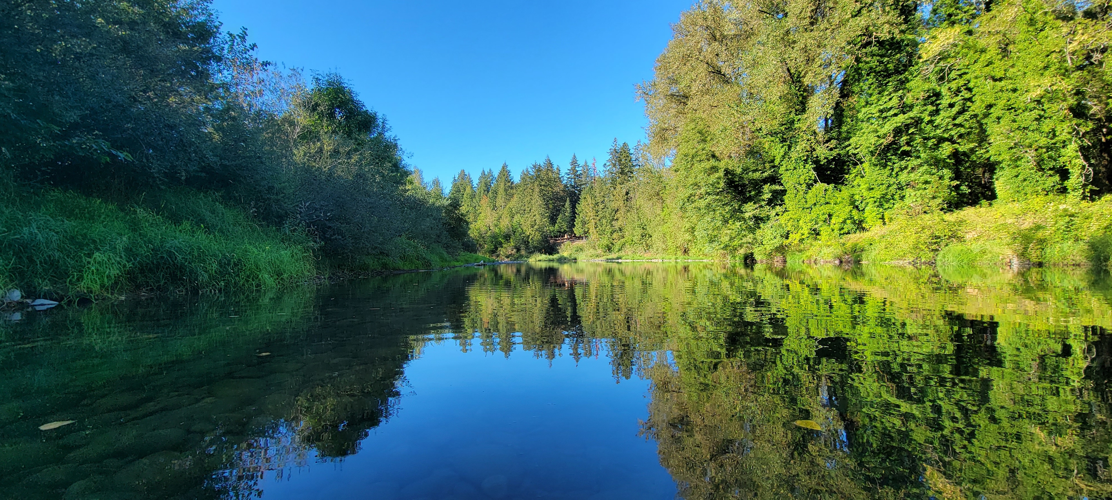 Molalla Ripple