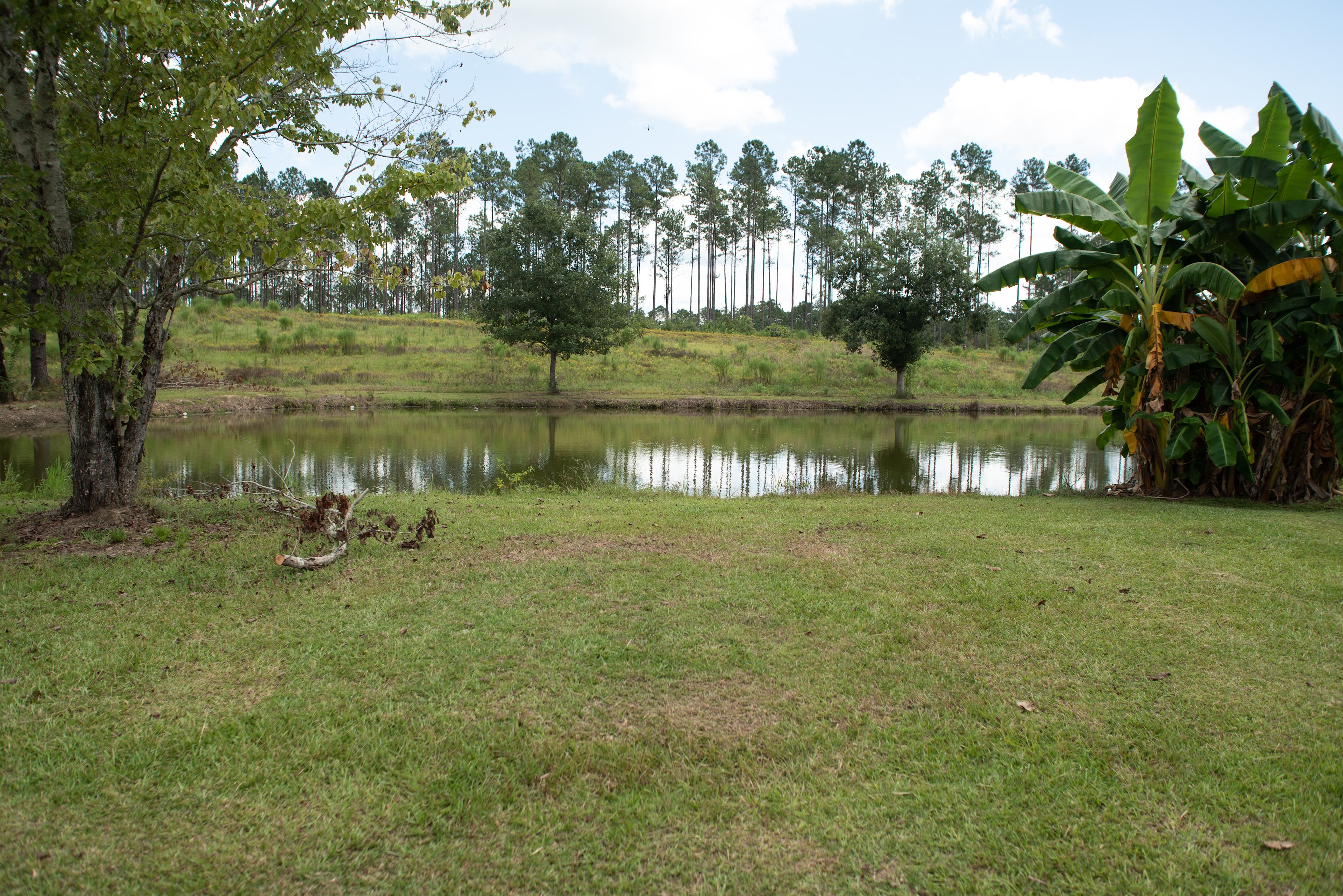 Apple Hill Cabins and Camp Ground
