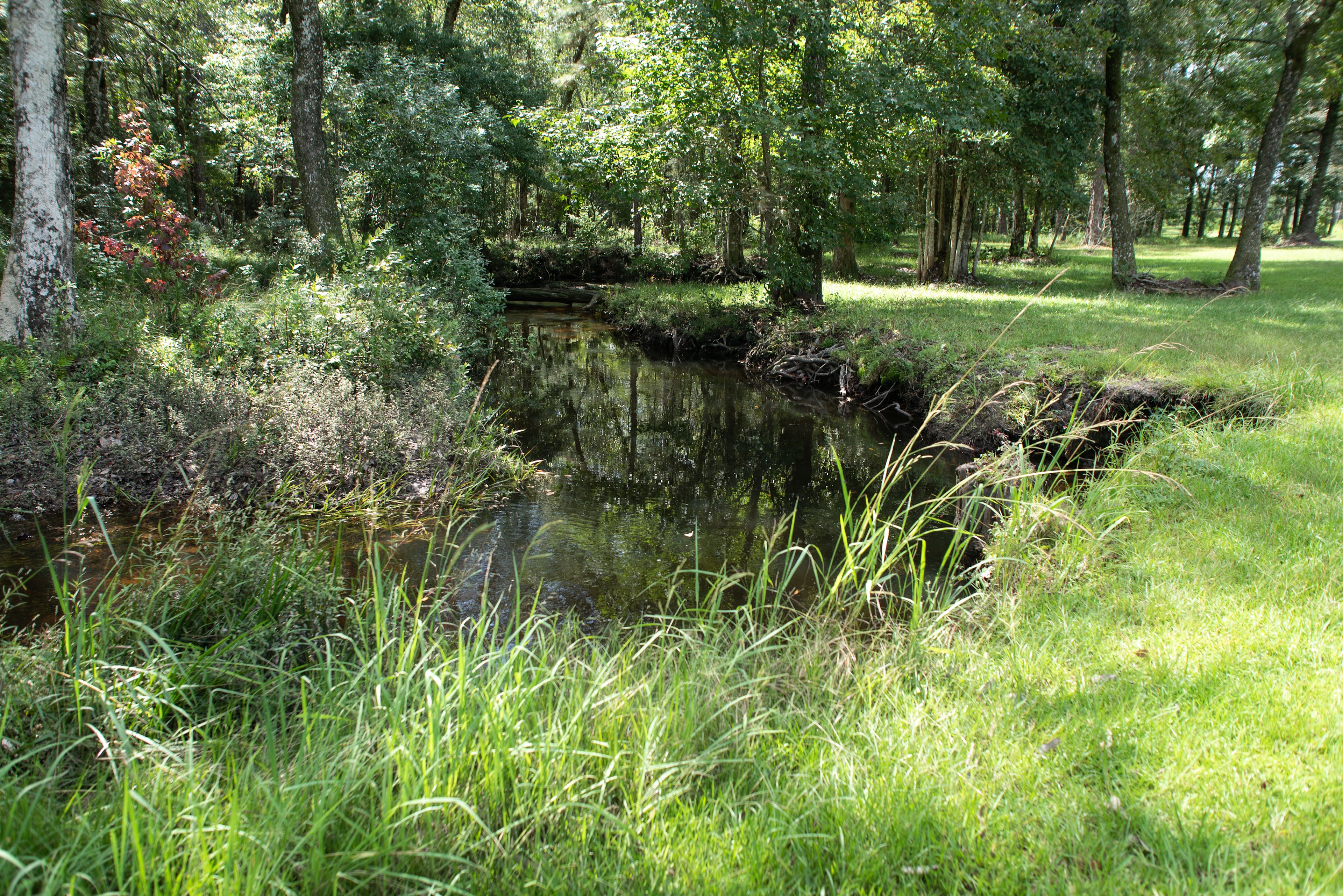 Apple Hill Cabins and Camp Ground
