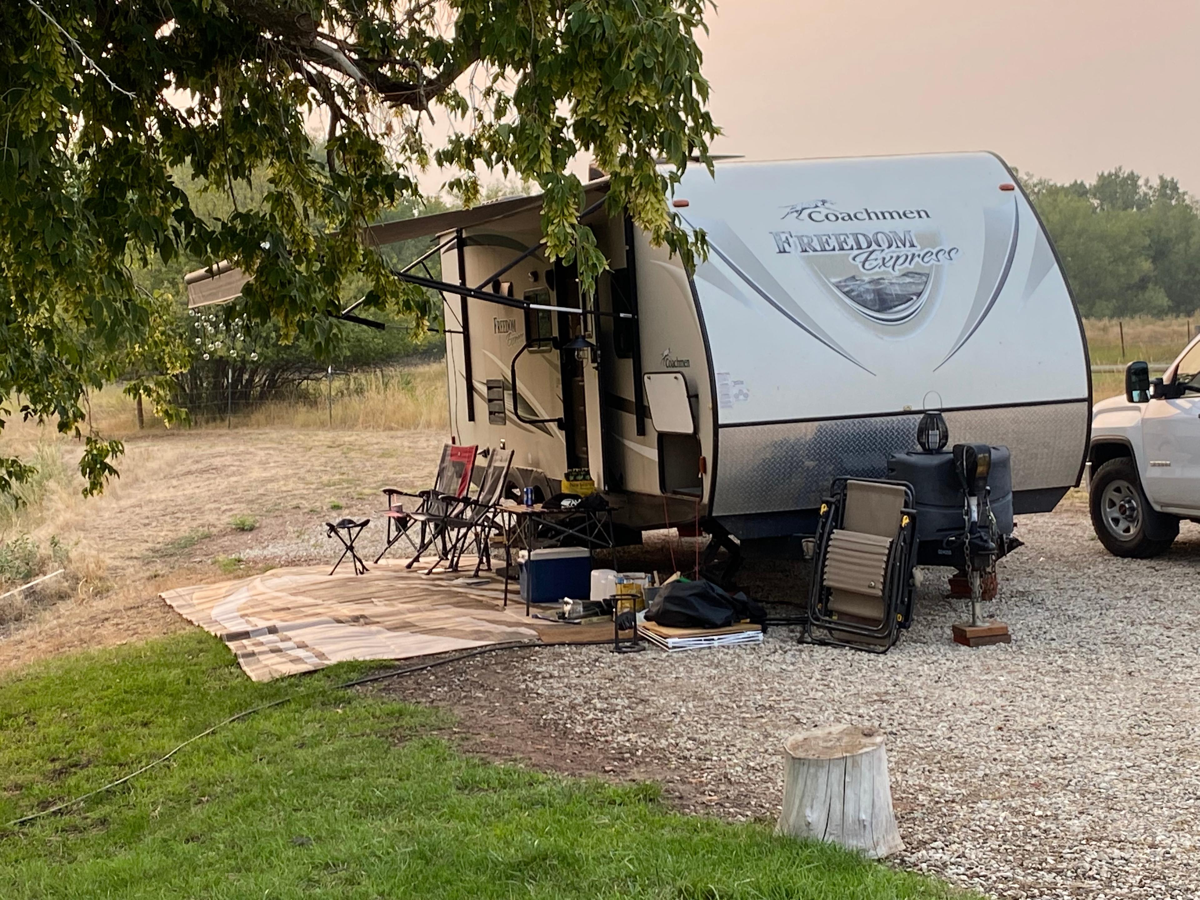 Little Goose Tree Fort