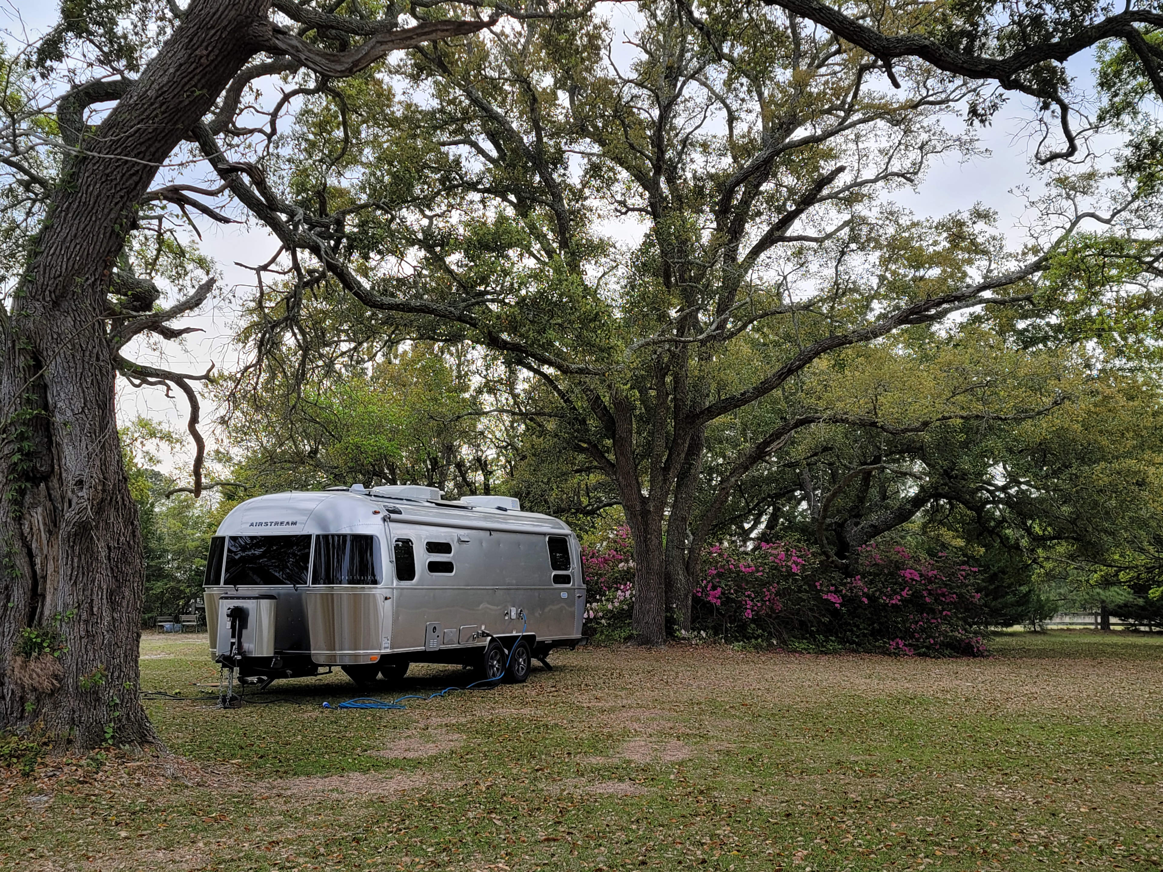 Live Oaks Farm