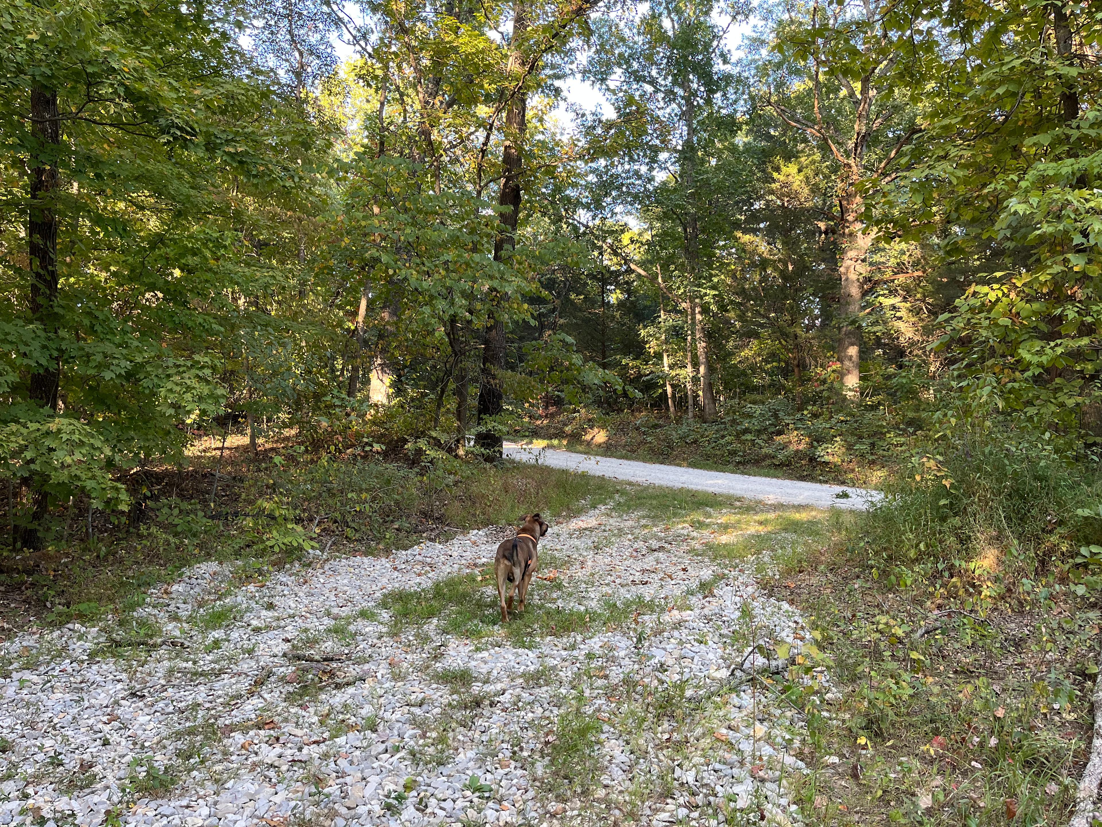 Fuzzy Forest