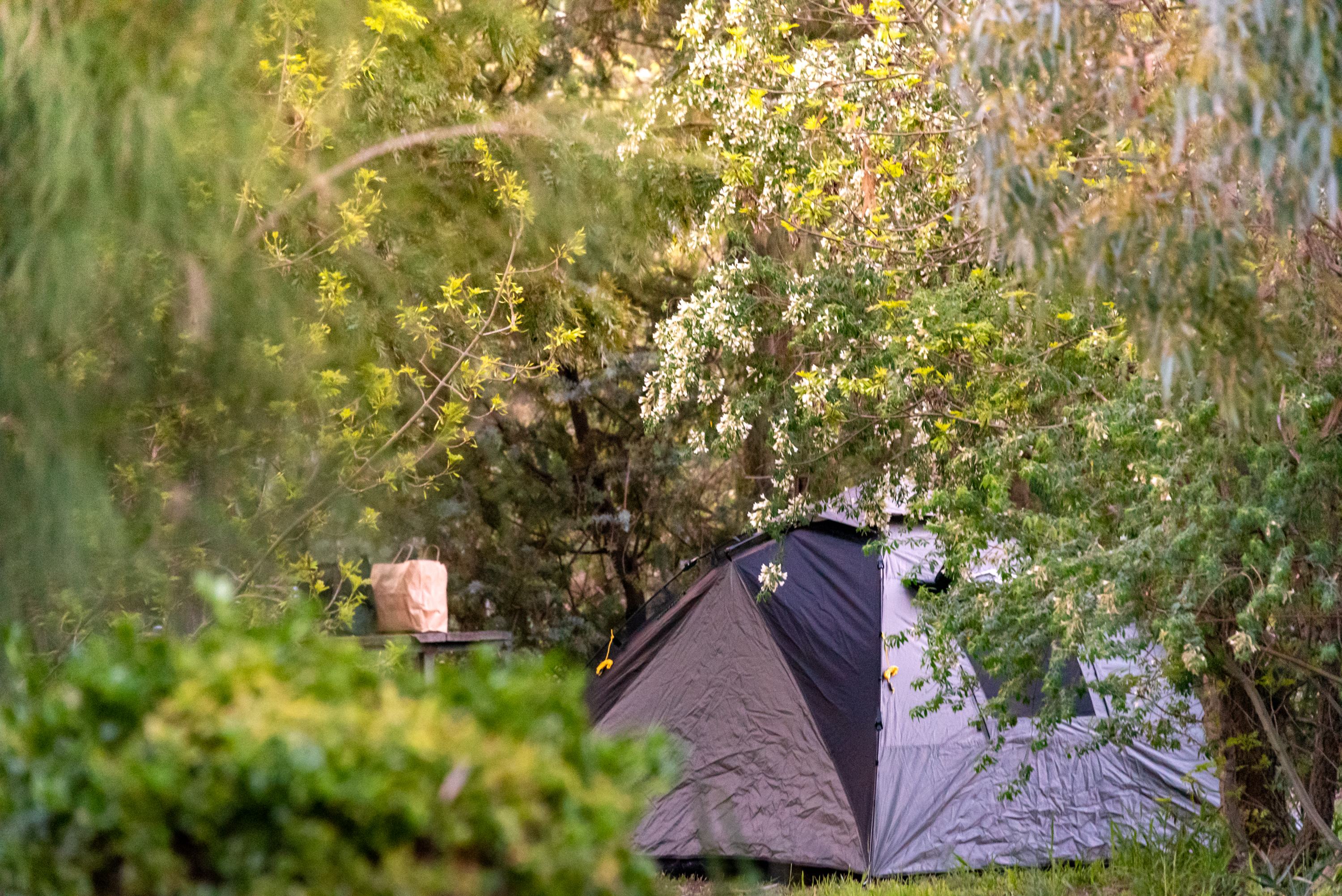 Camp among the trees