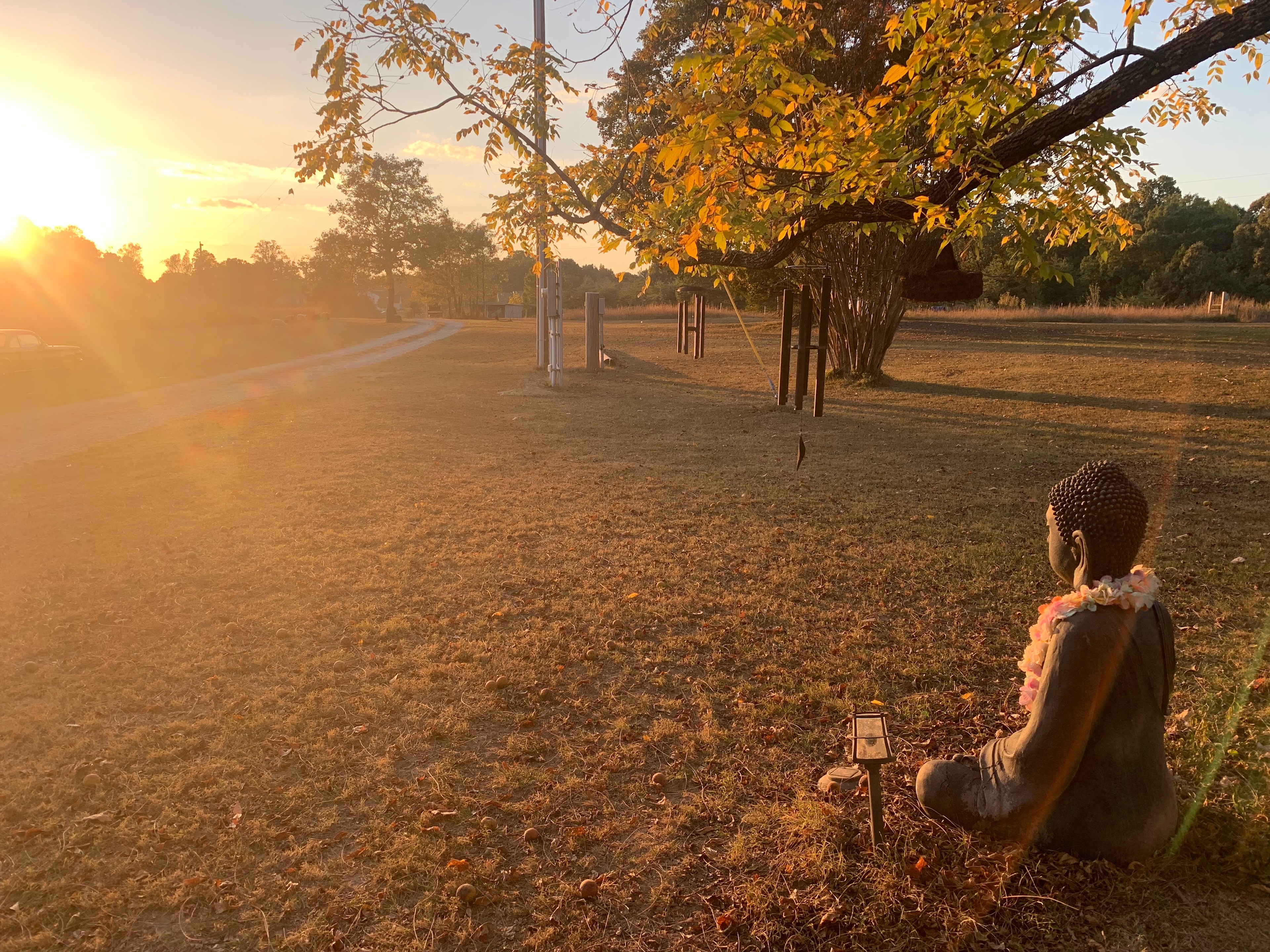 Sacred Dog Ranch
