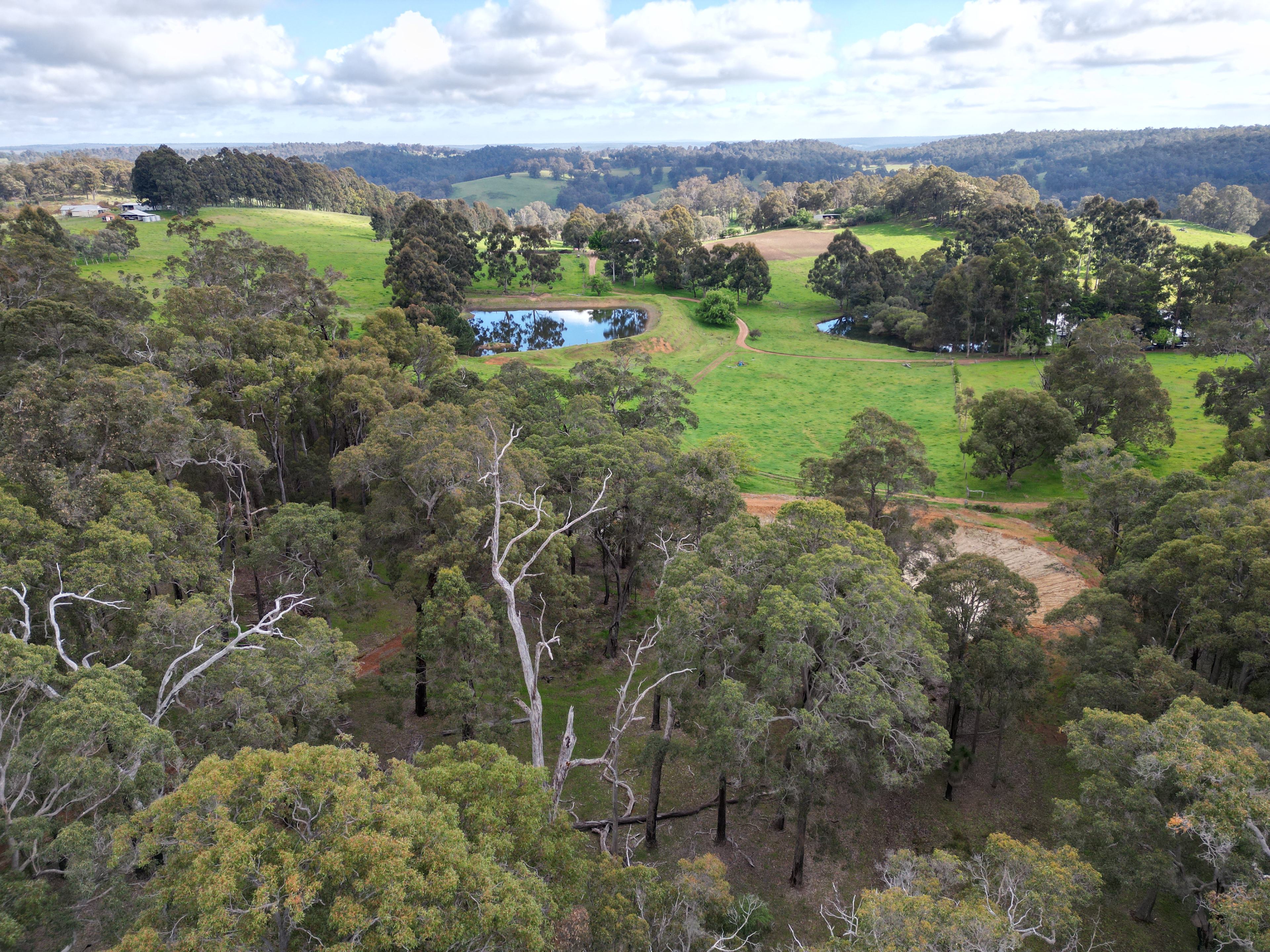 Parkland Bush Camp Mapanap