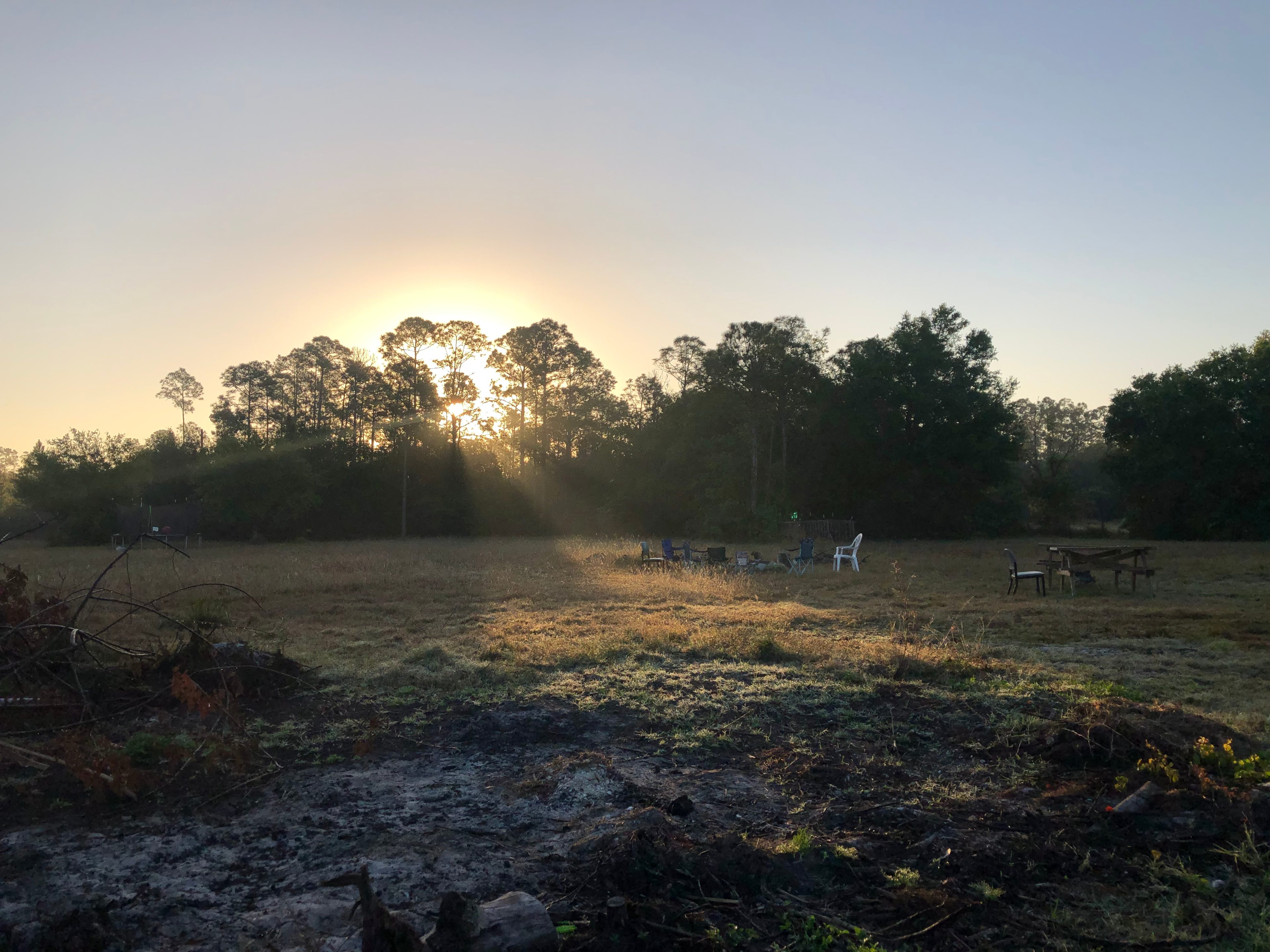 Healing Tree Homestead