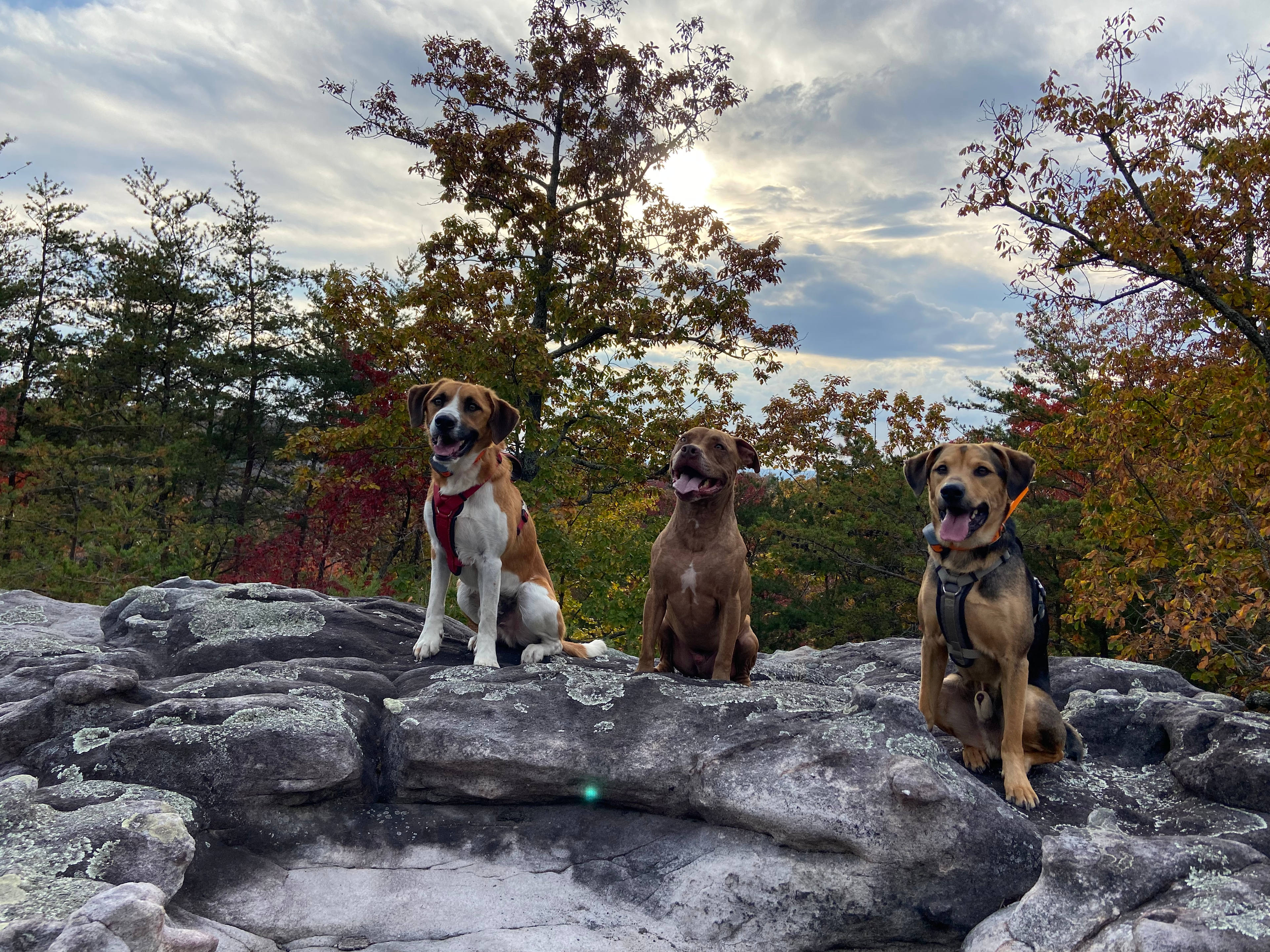 South Suckcreek Campground