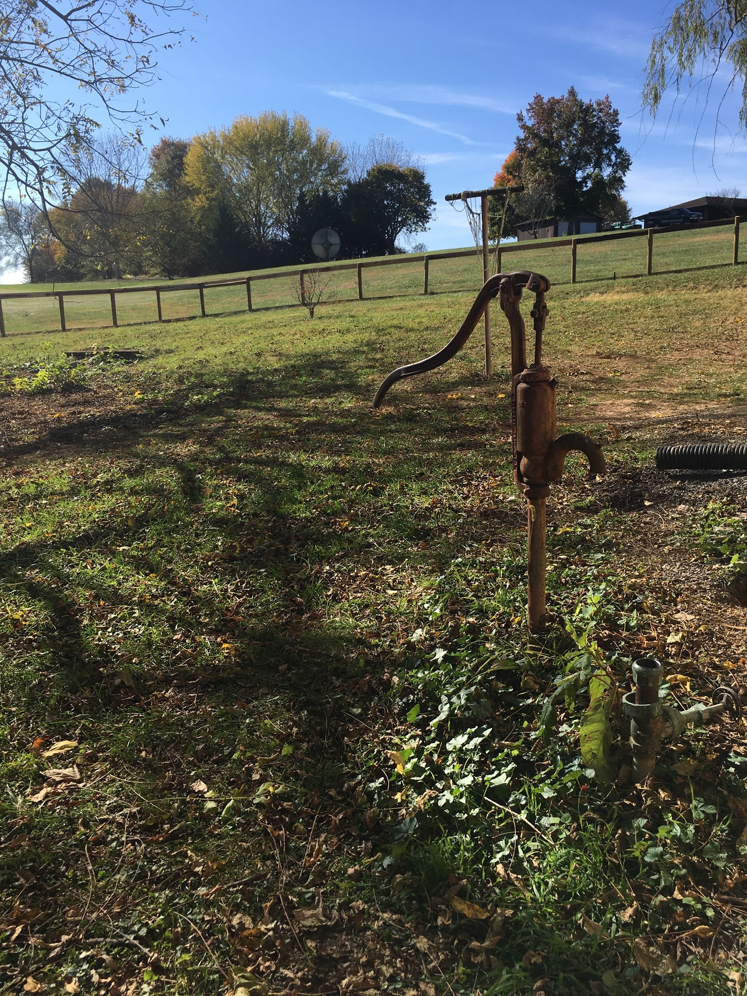 Spotted Dog Inn at Baker Acres