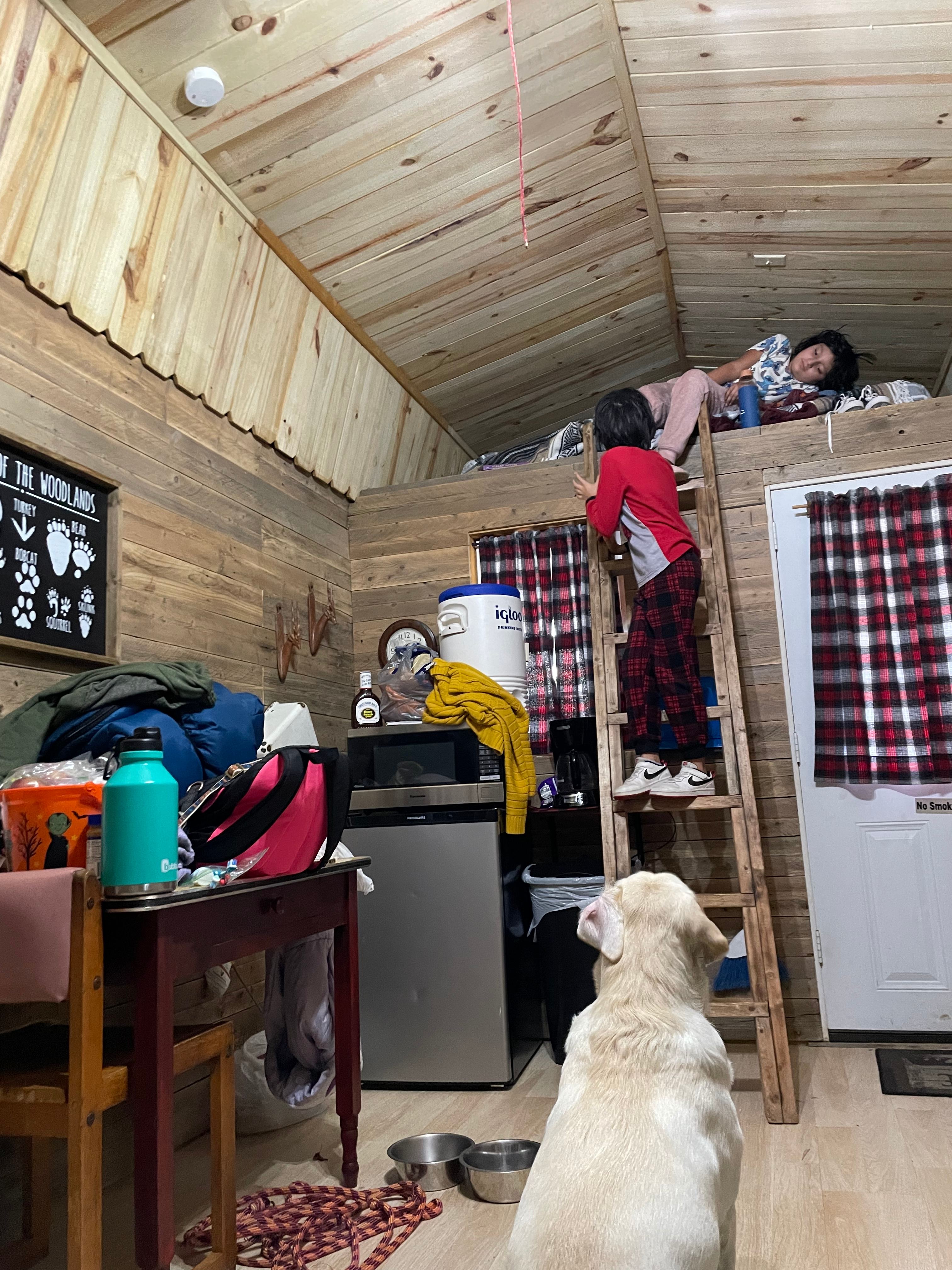 Pop's Place Camping