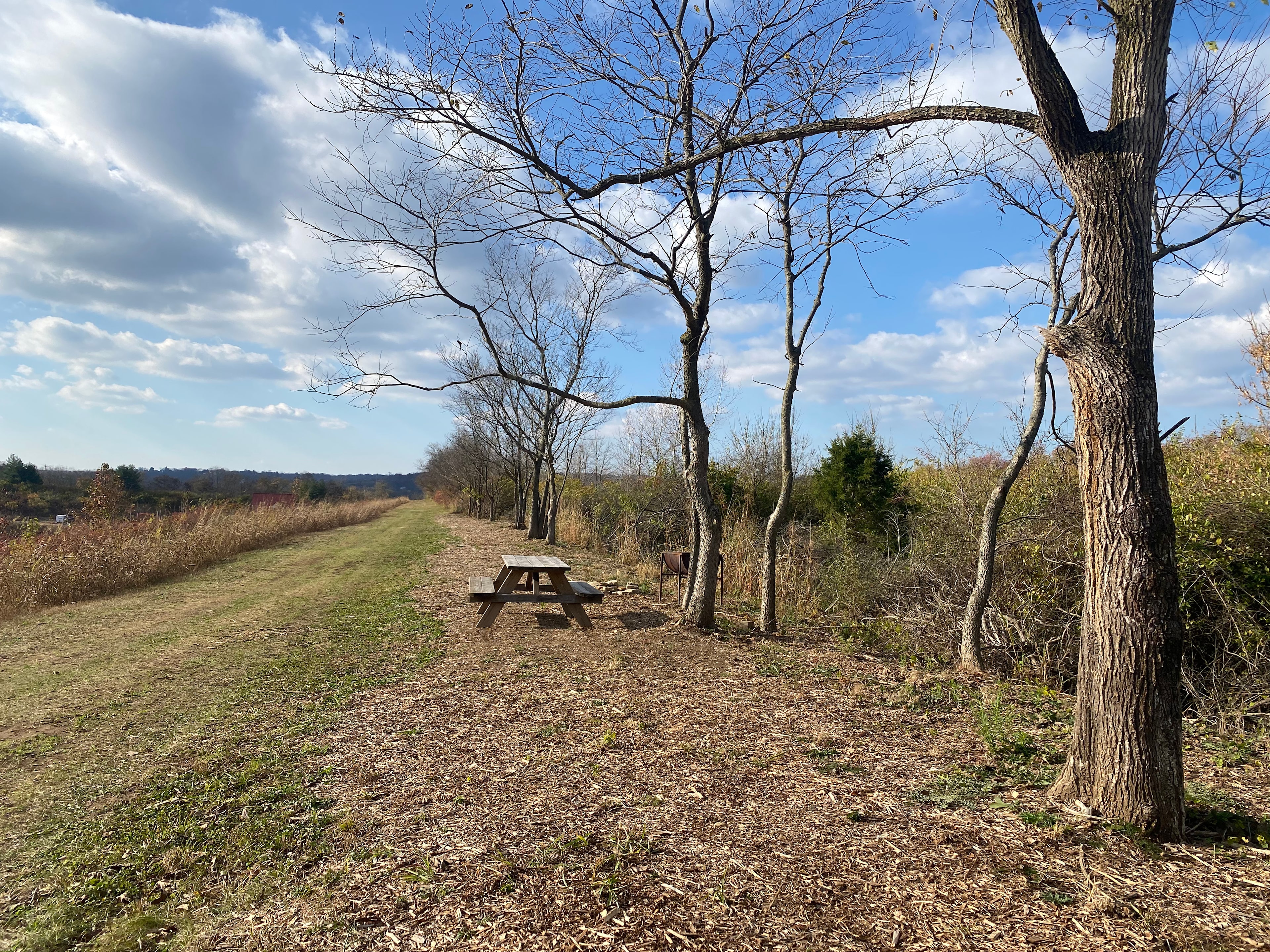 Carriage House Farm