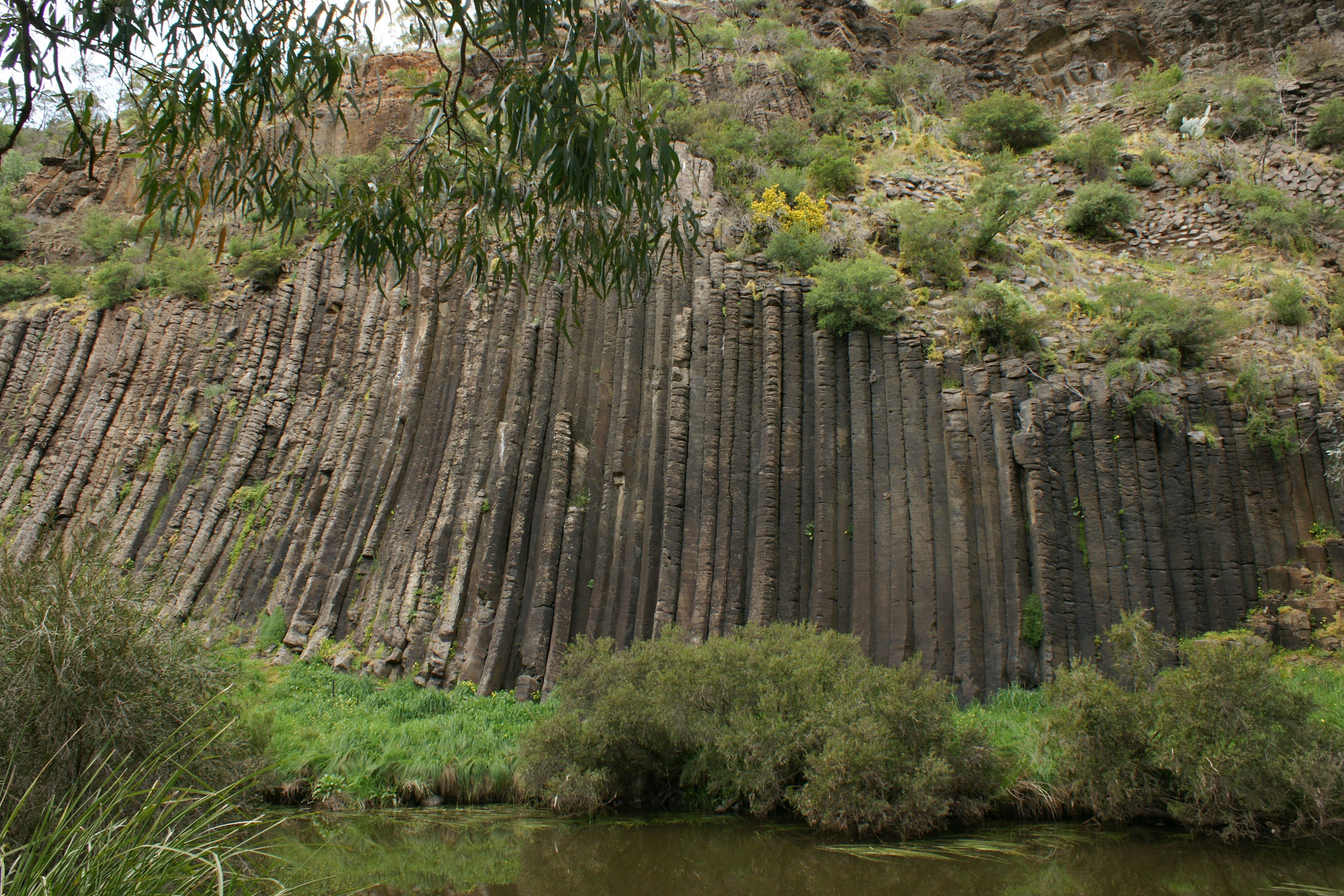 Organ Pipes National Park