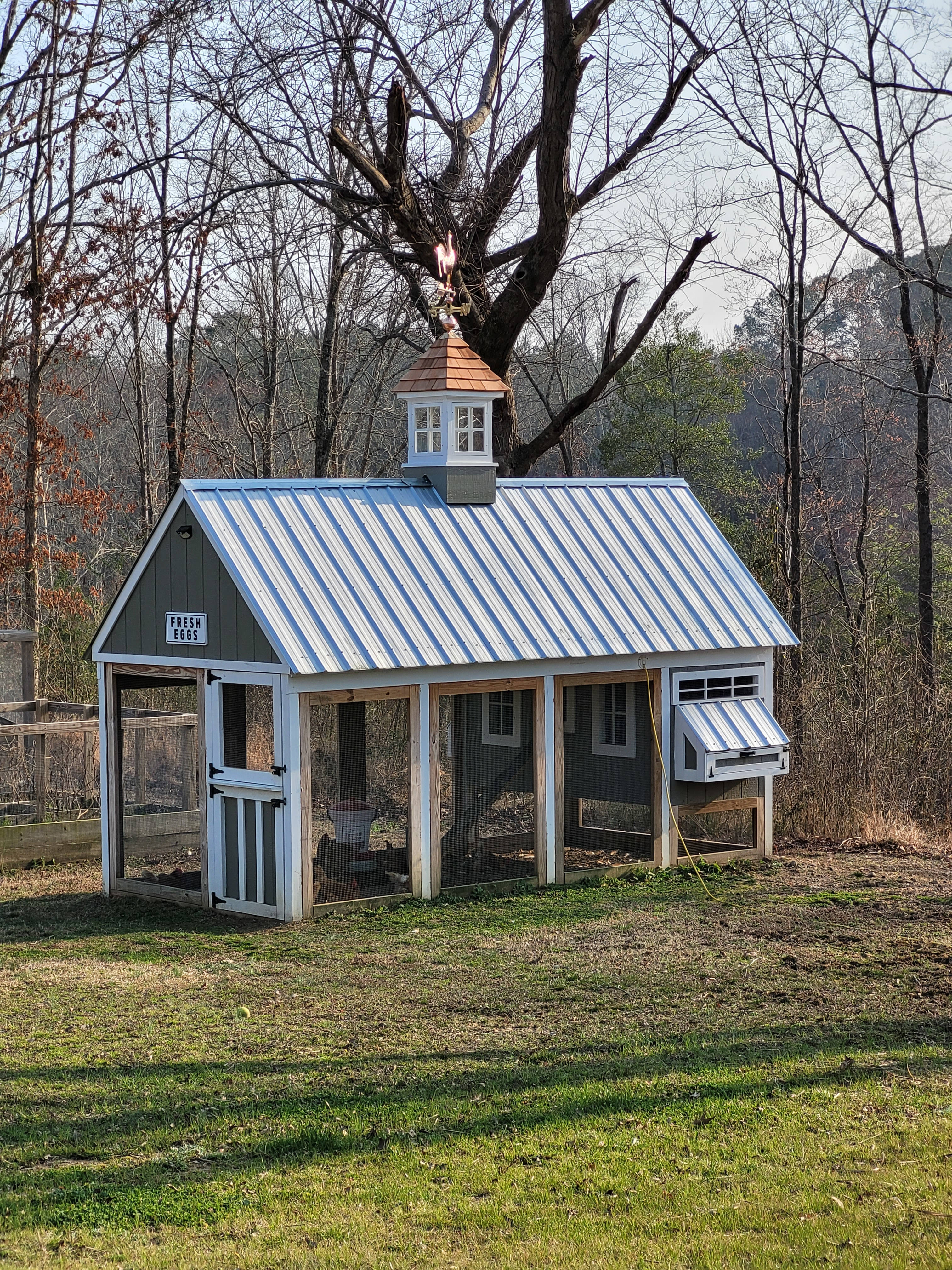Chicken coop