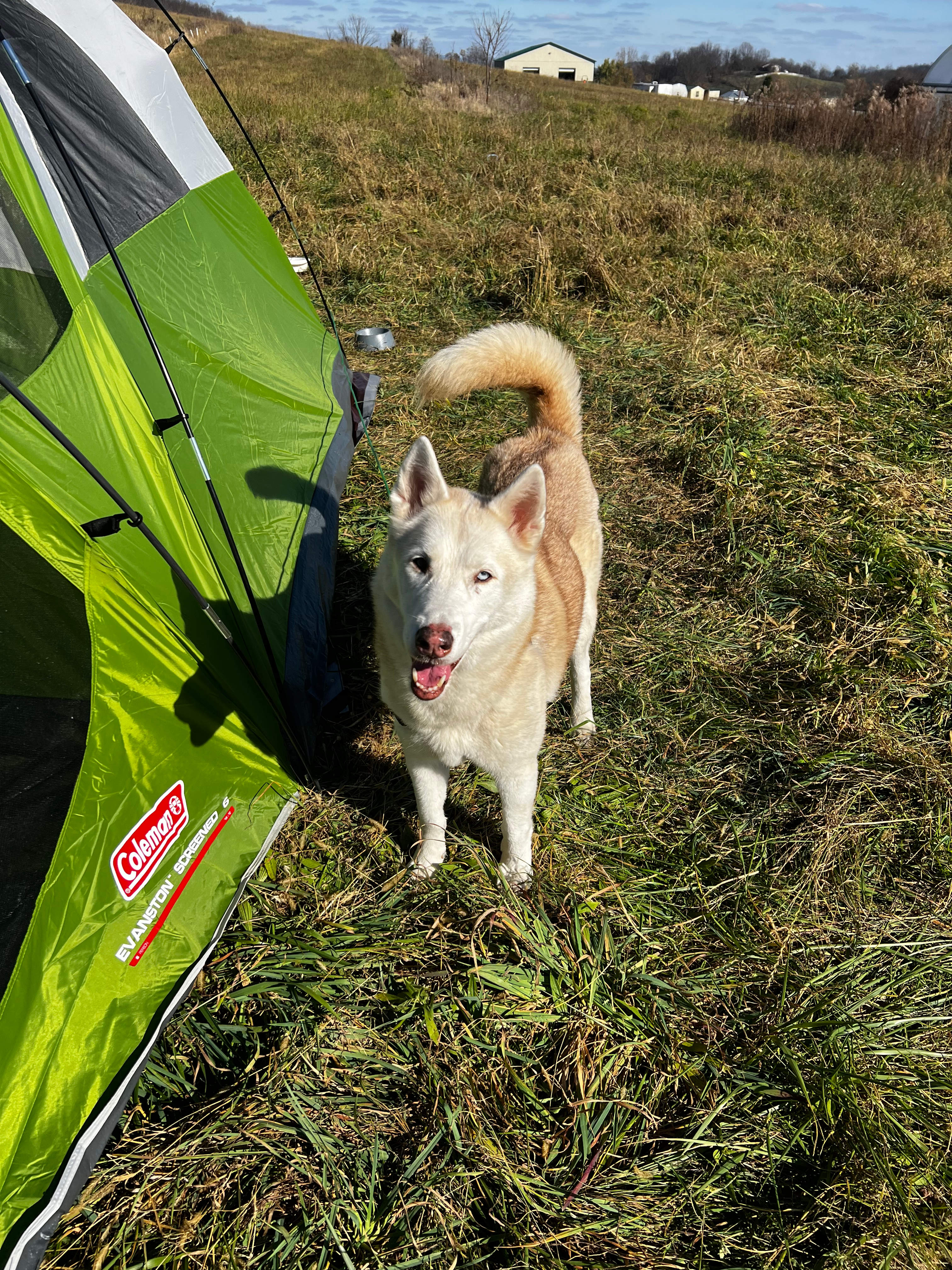 Ryan's Fruit Market and Orchard