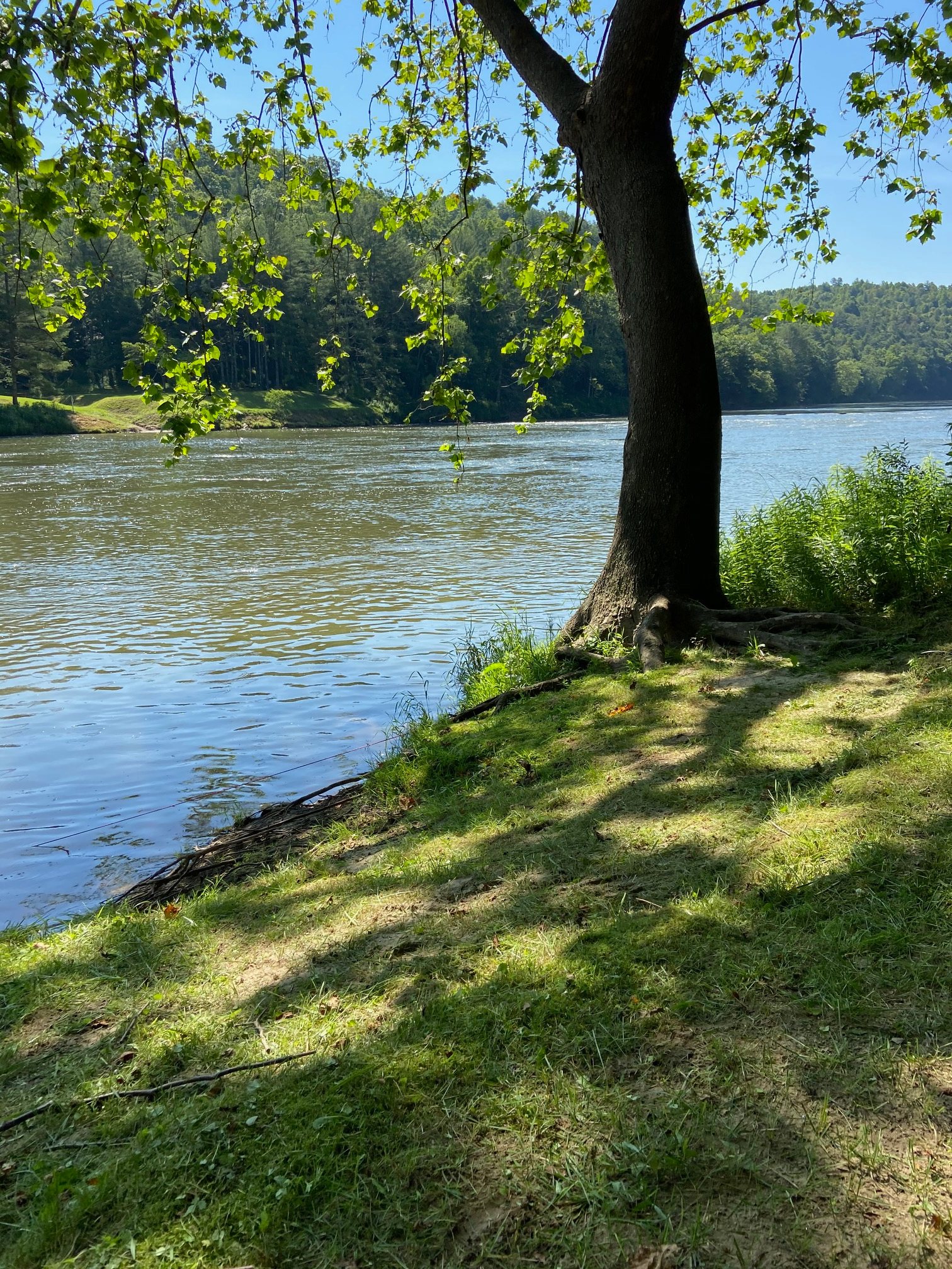 New River Yacht Club