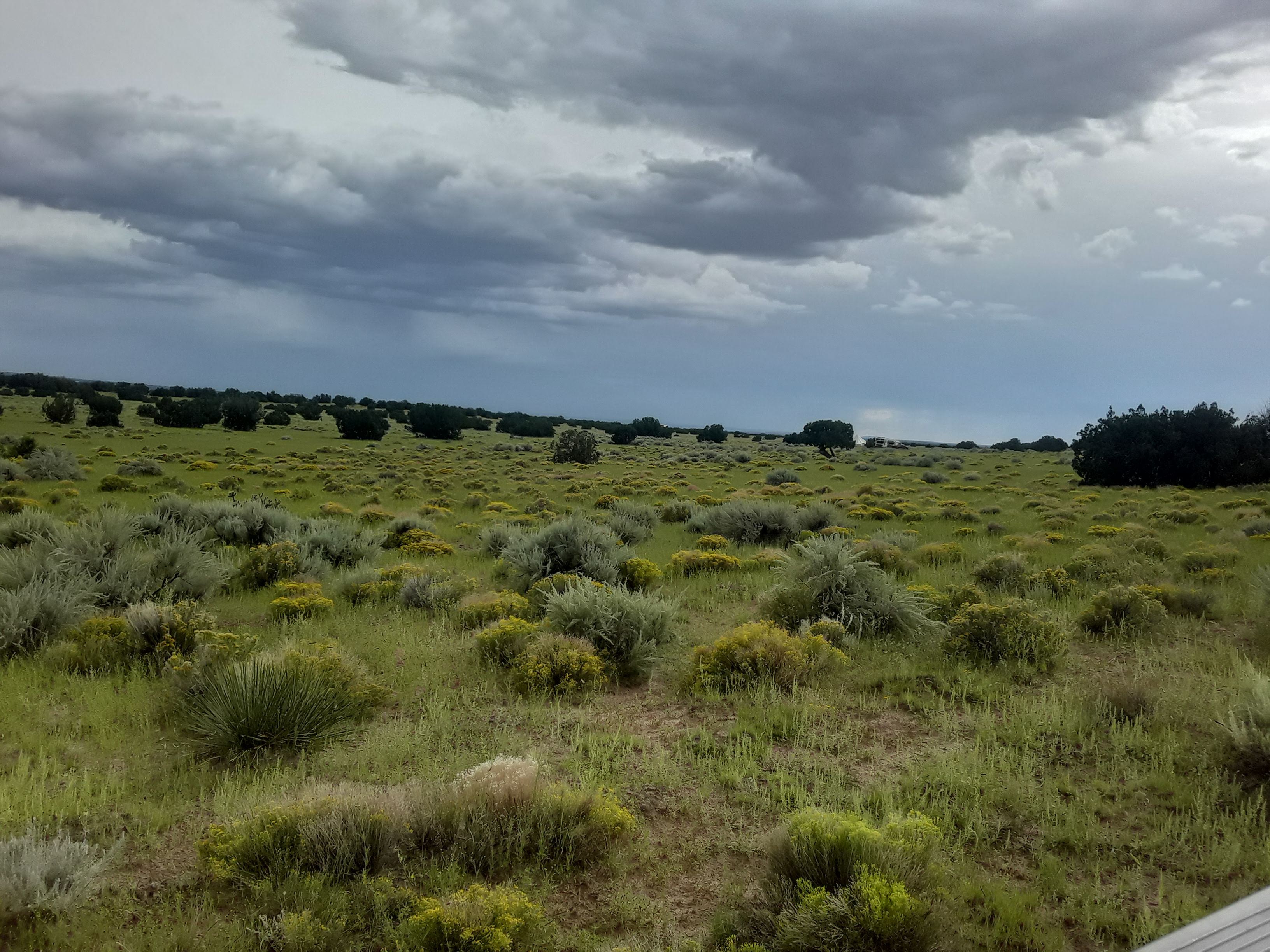 Ronnie's Ranch