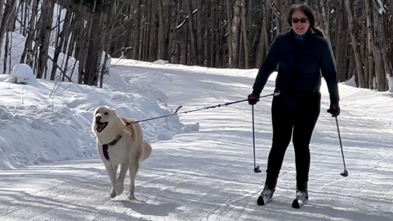 Fish’s Yurt Romantic Luxury Escape