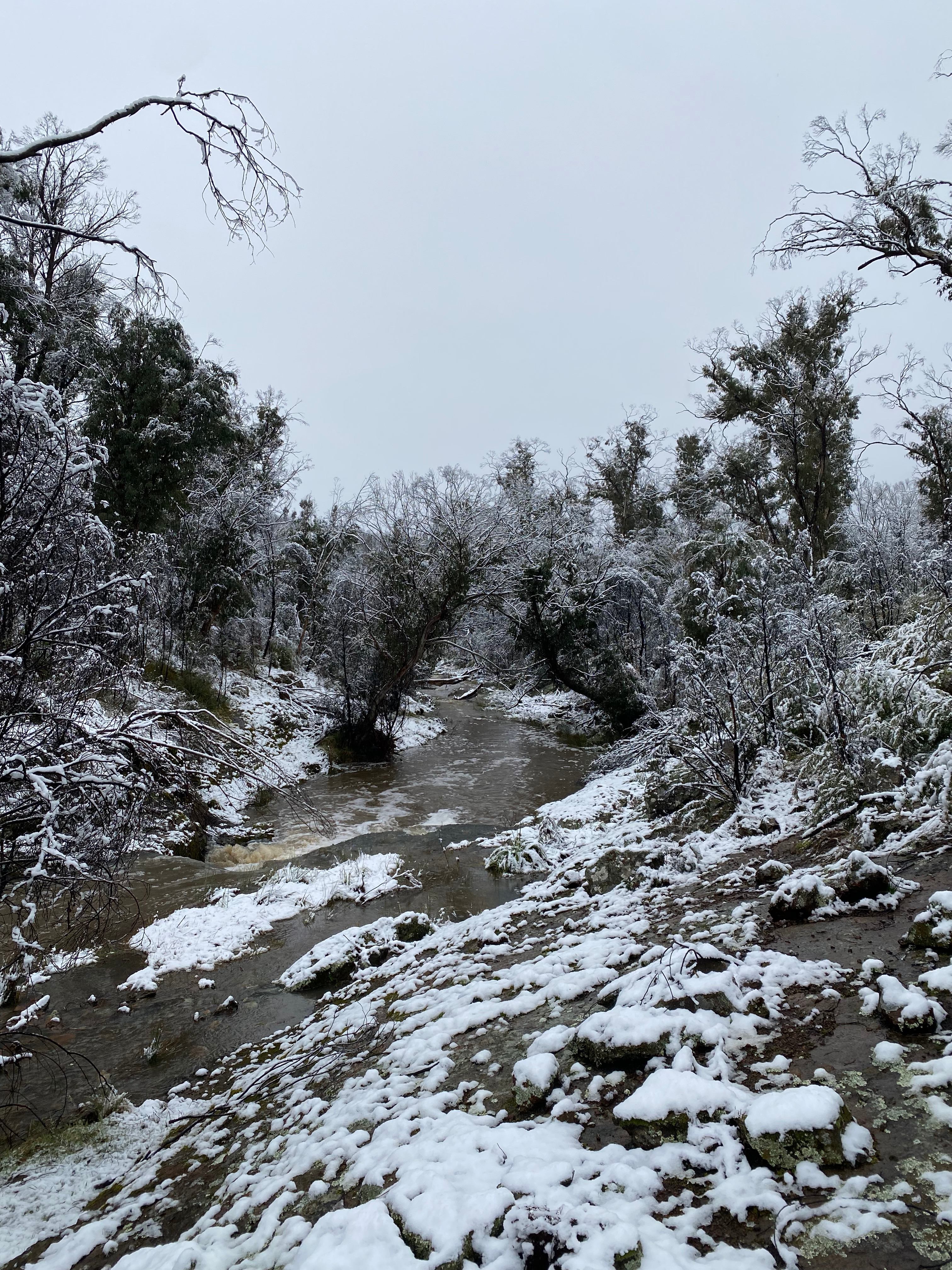 Two Creeks Meet