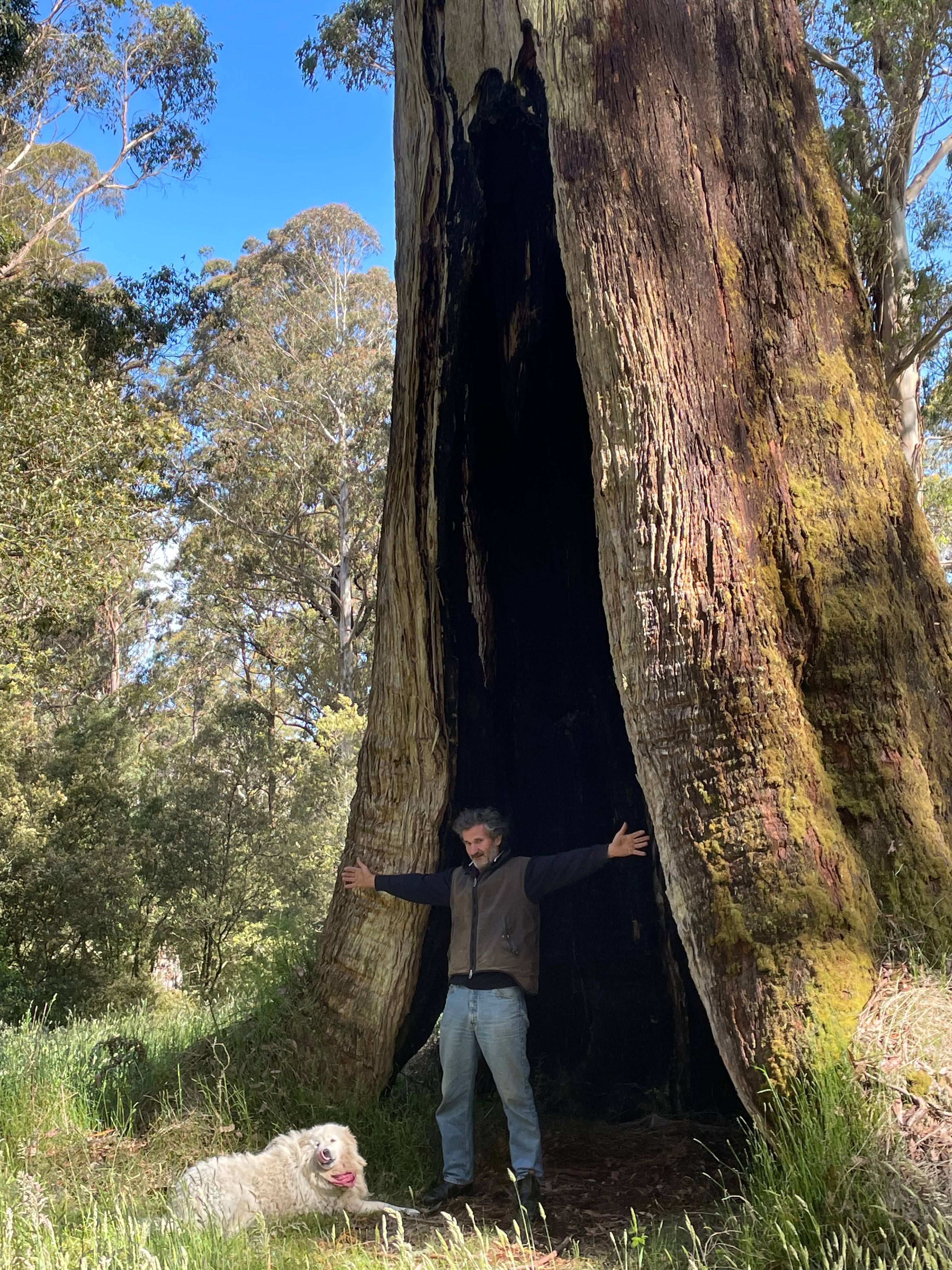 Erskine Falls Retreat