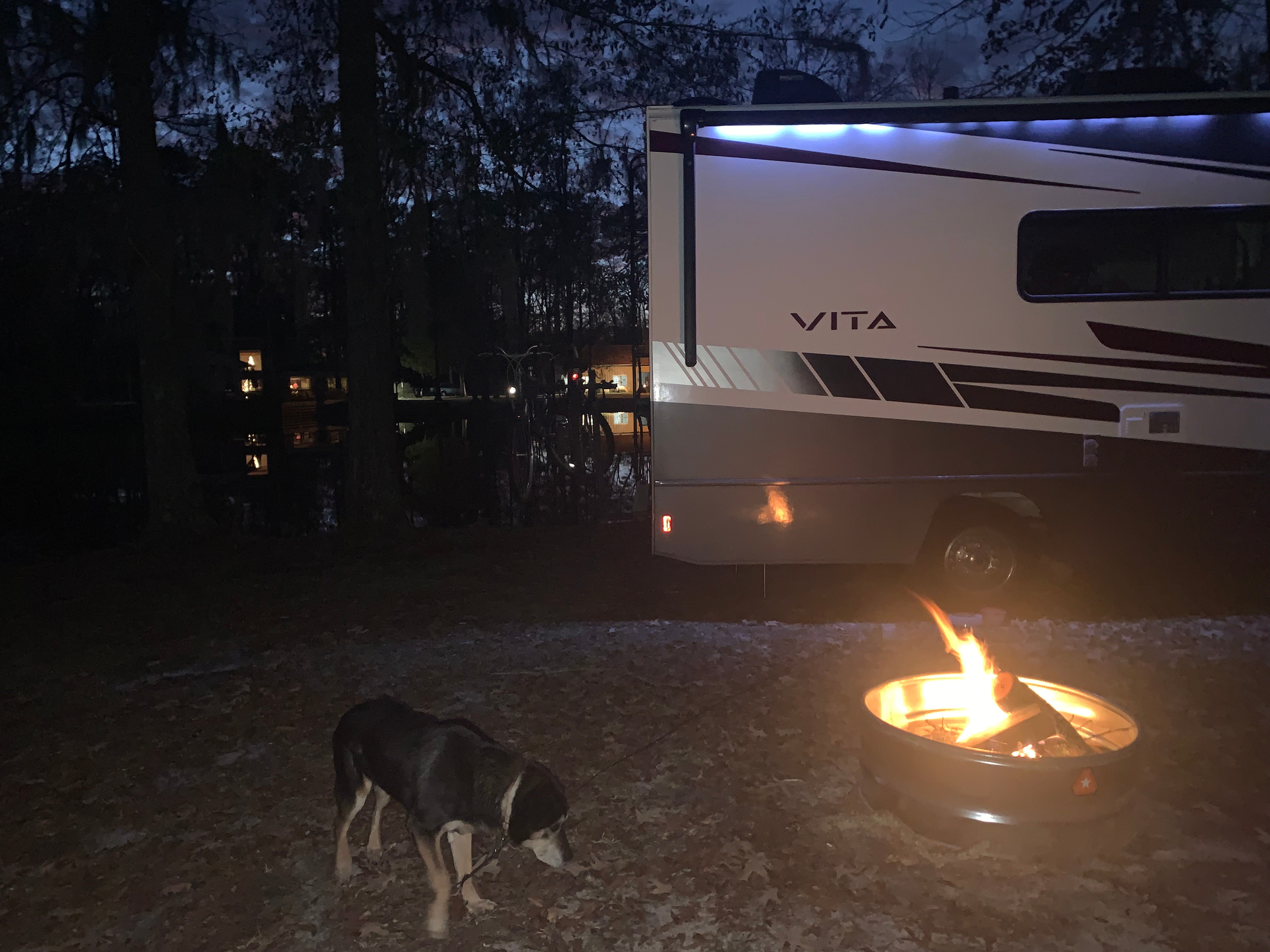 Peace, Ponies, Ponds @ Pinchona