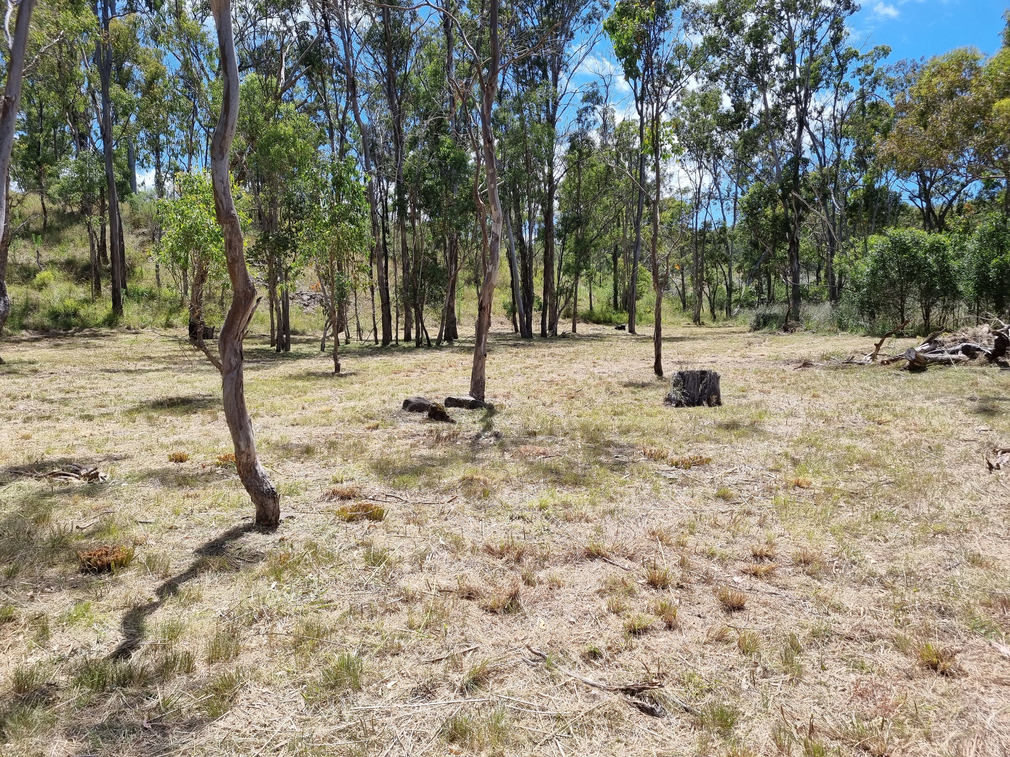 Higgins Country Retreat