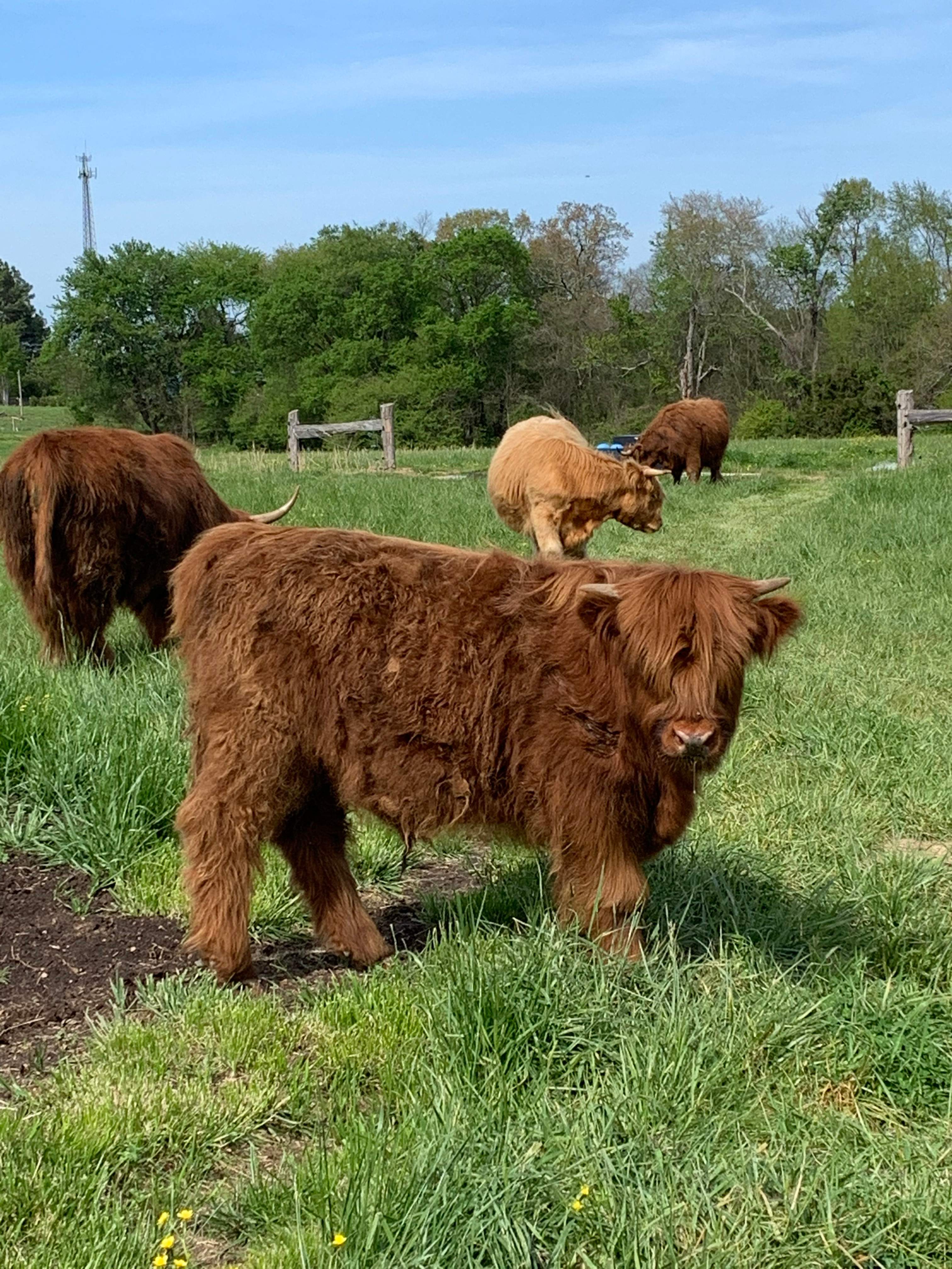 St. Isidore Farm