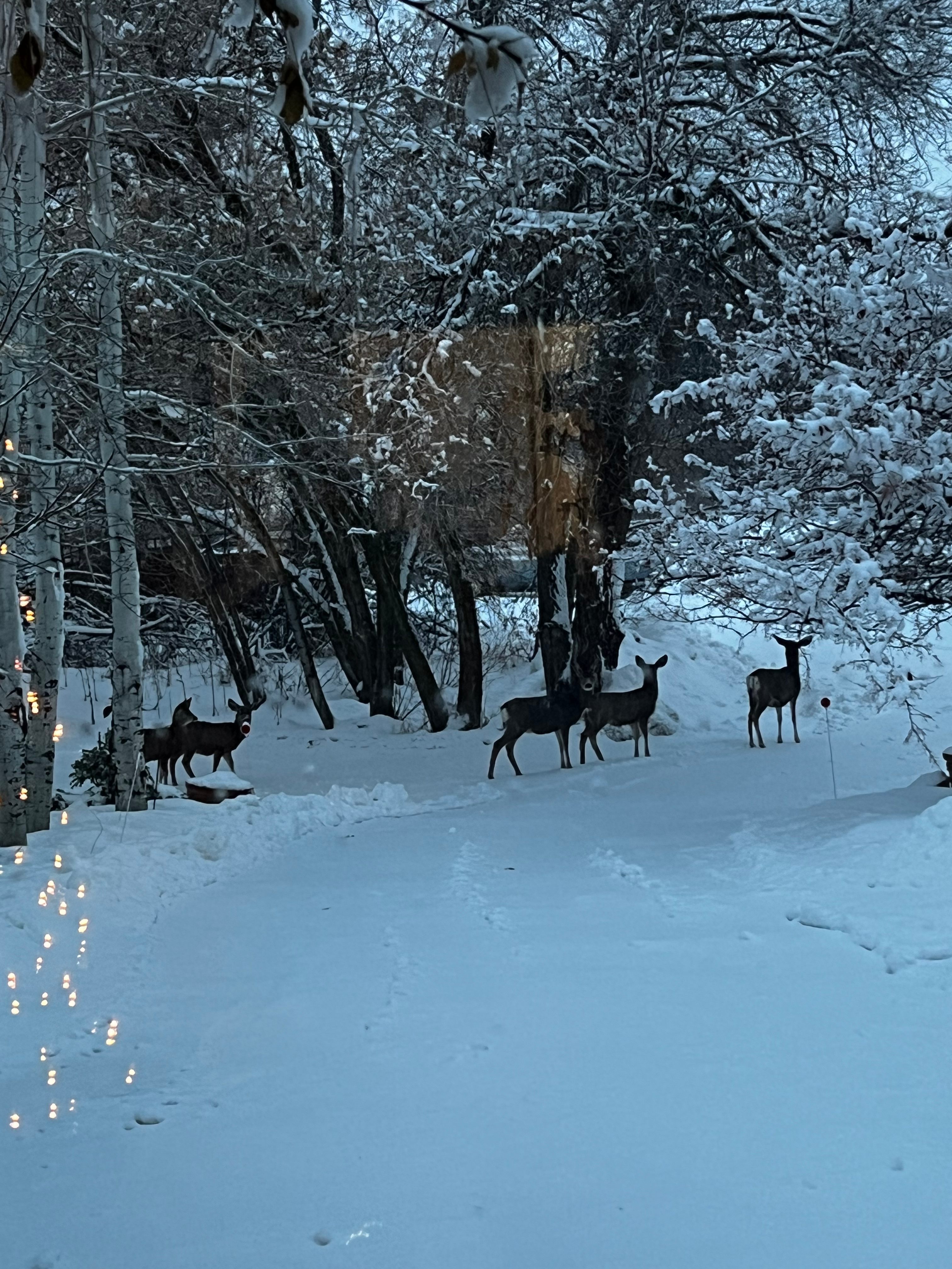 Friendly neighbors leaving field where you will camp.