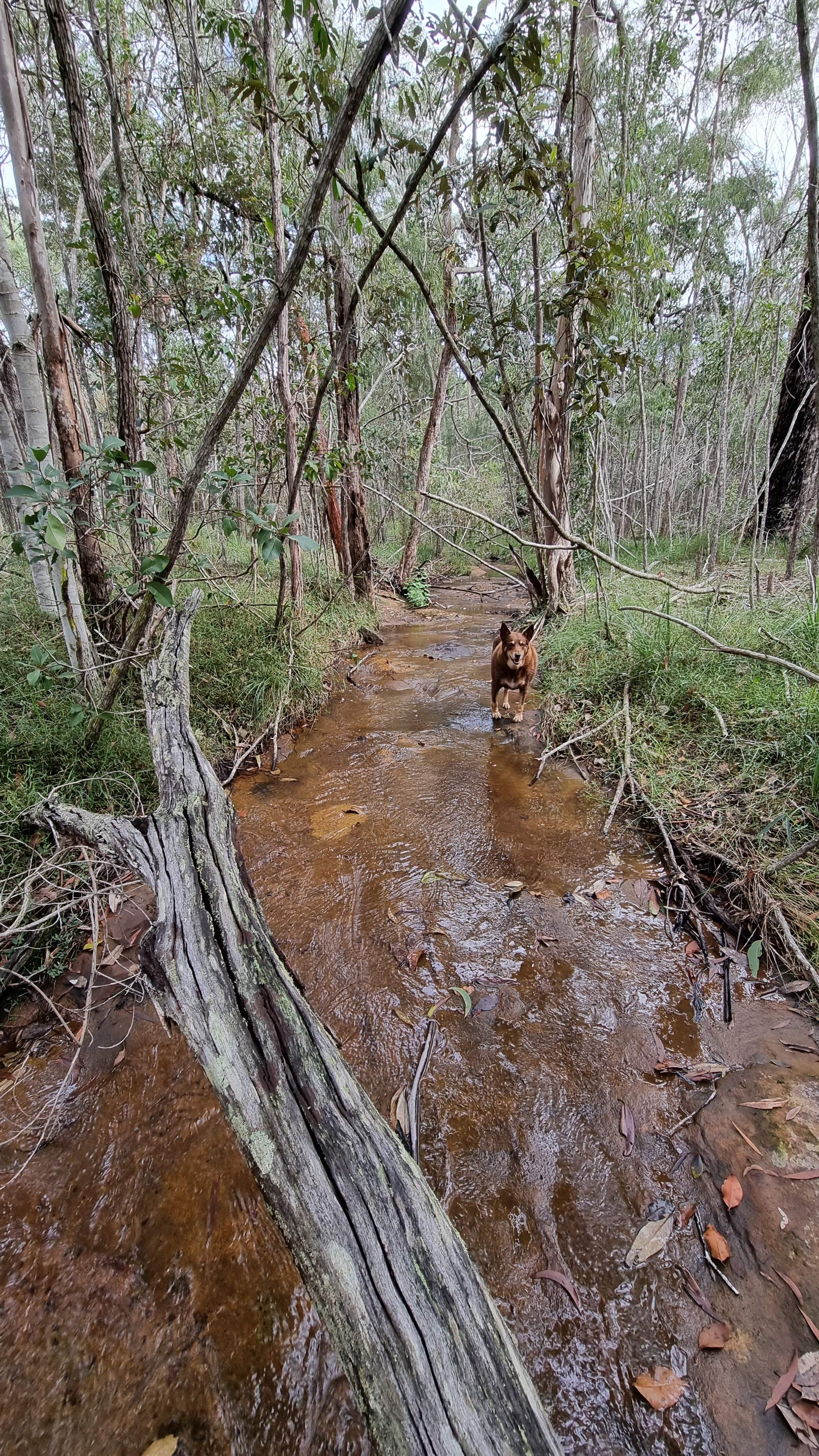 Two Mile Crossing