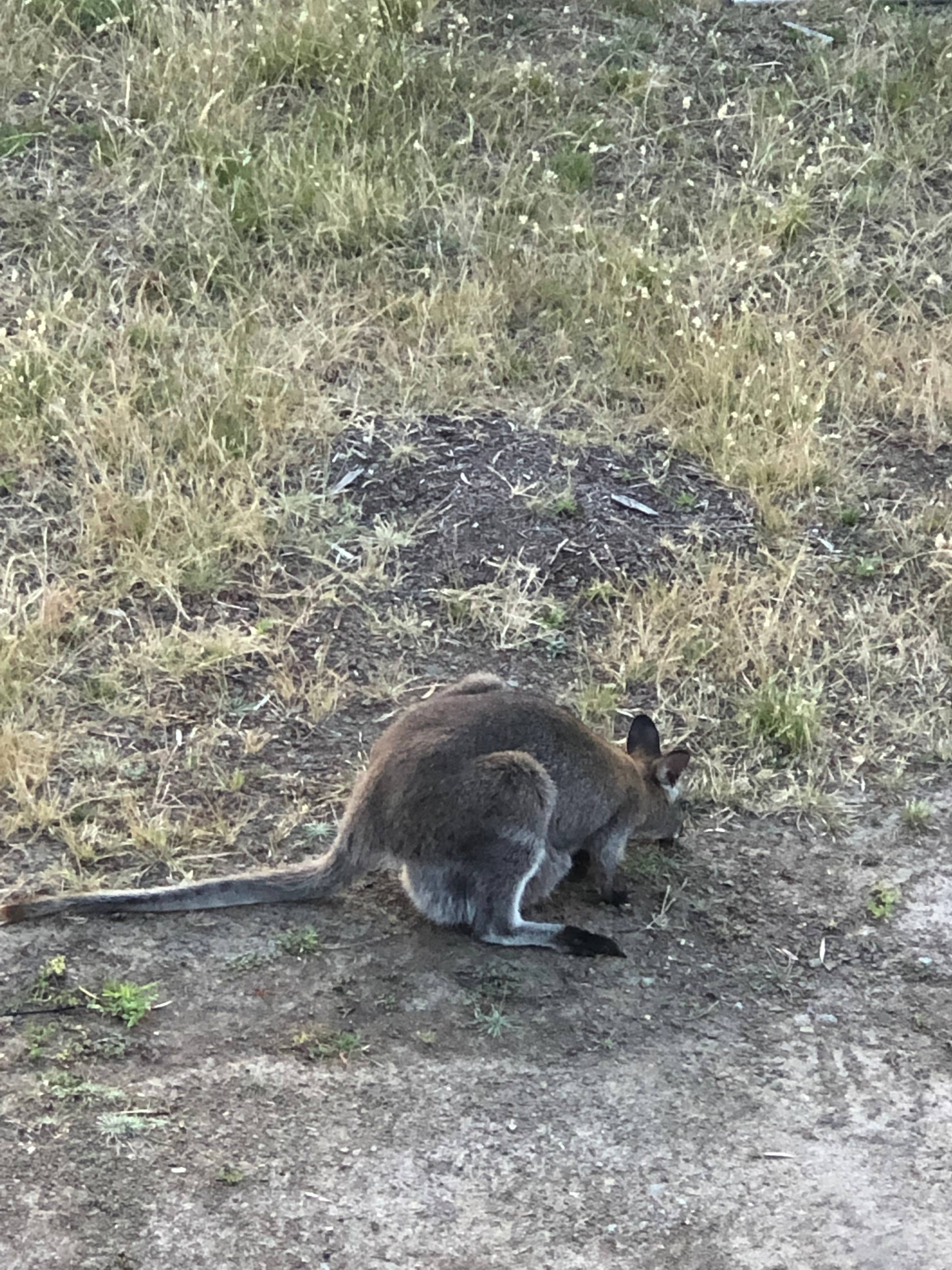 Dodges Ferry Sea Views