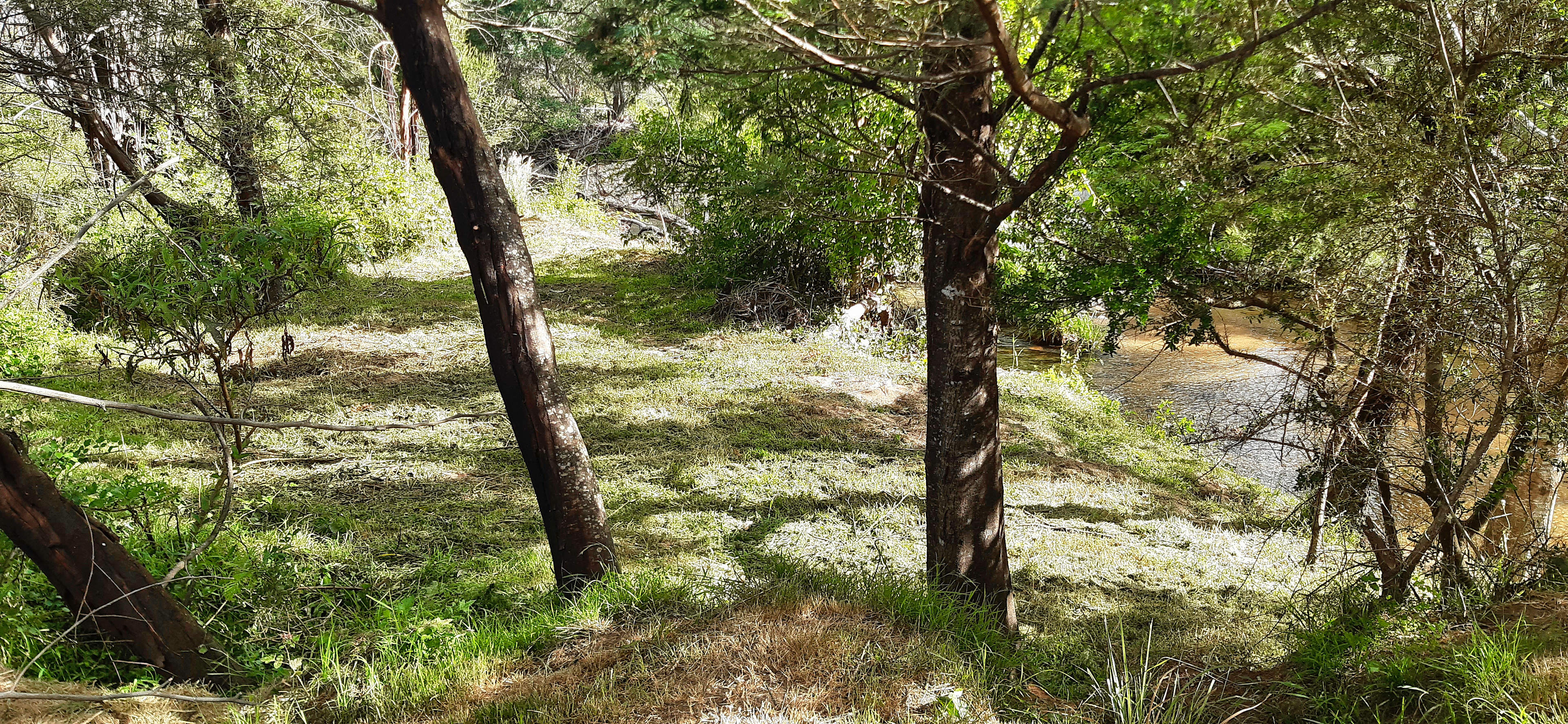 Misty Mountain Wildlife Refuge