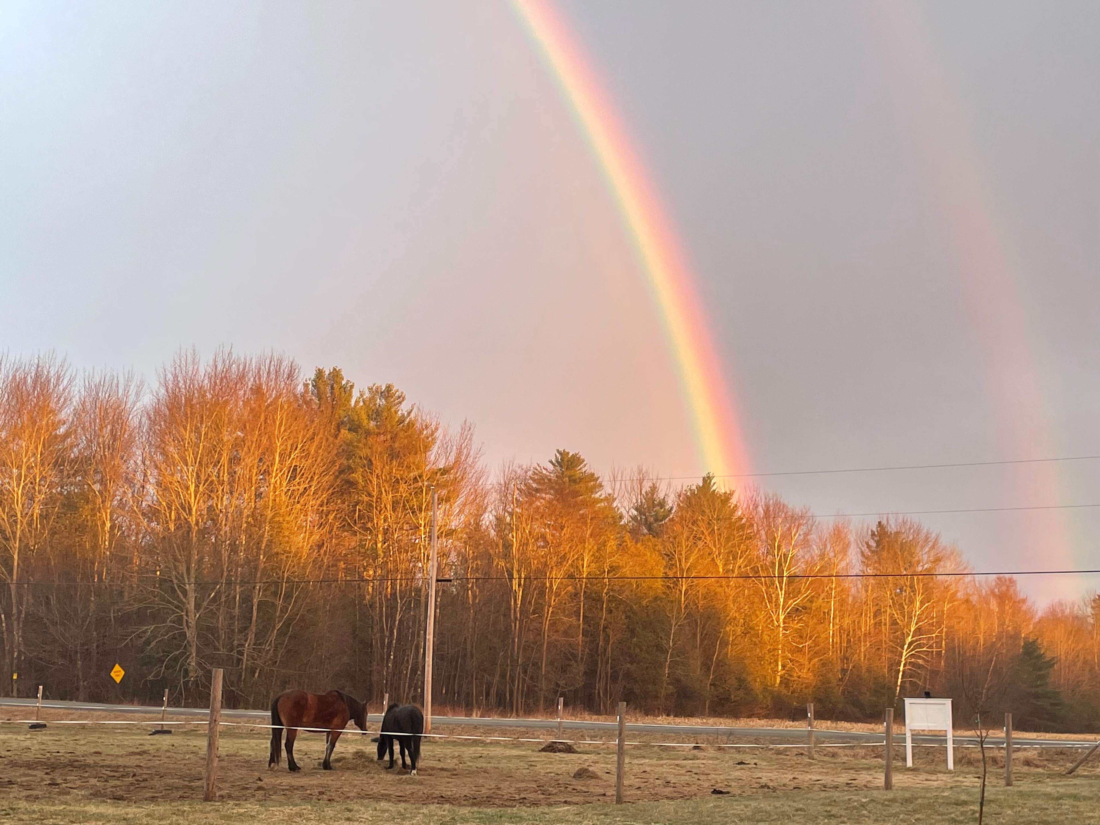 Back Forty Camping at its best