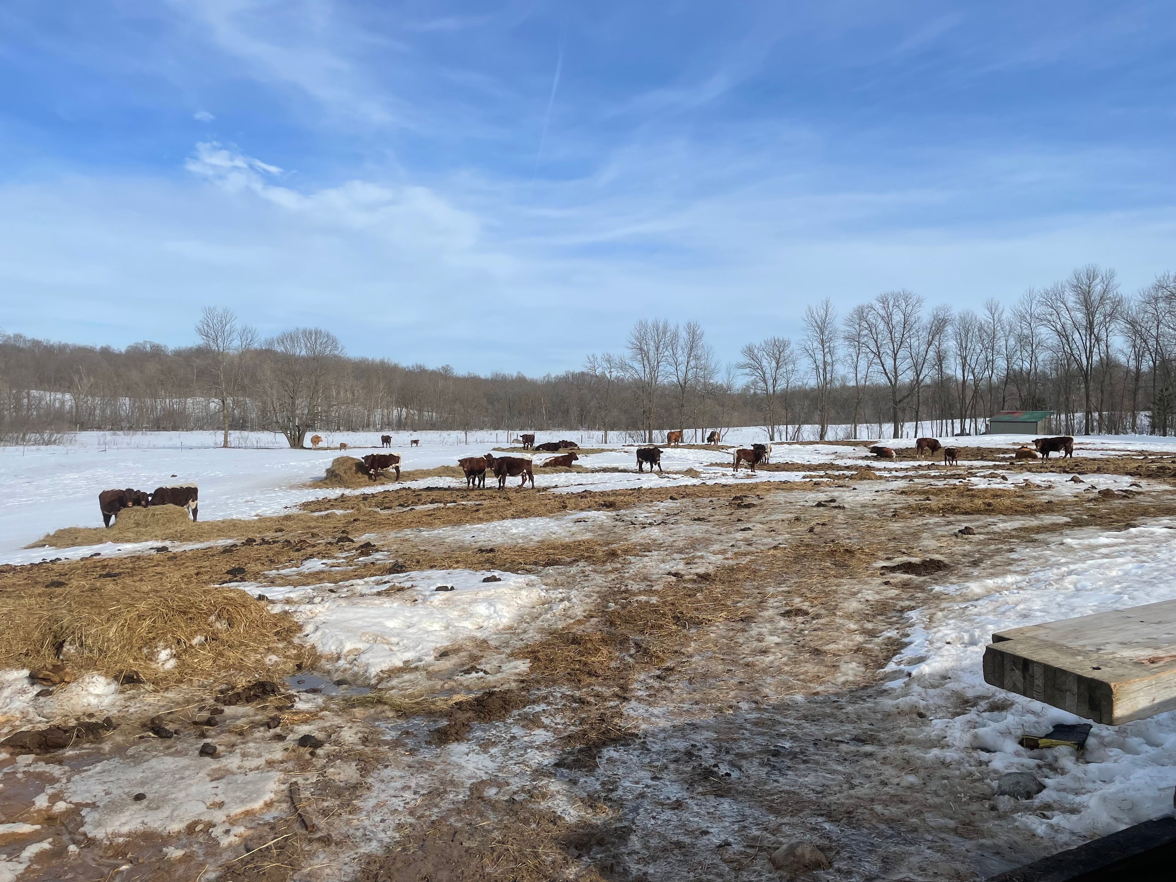 Creekwood Acres, LLC