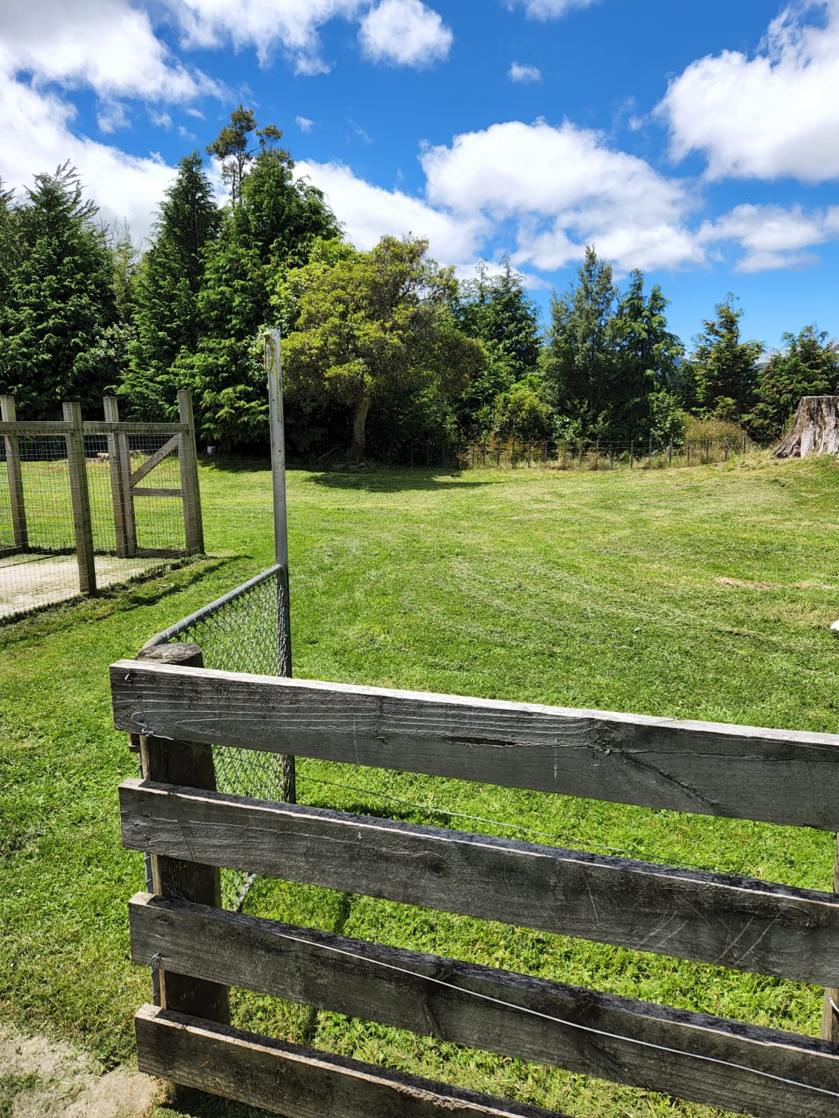 CAMP SIDE 1 IS NEXT TO THE DOG KENNEL