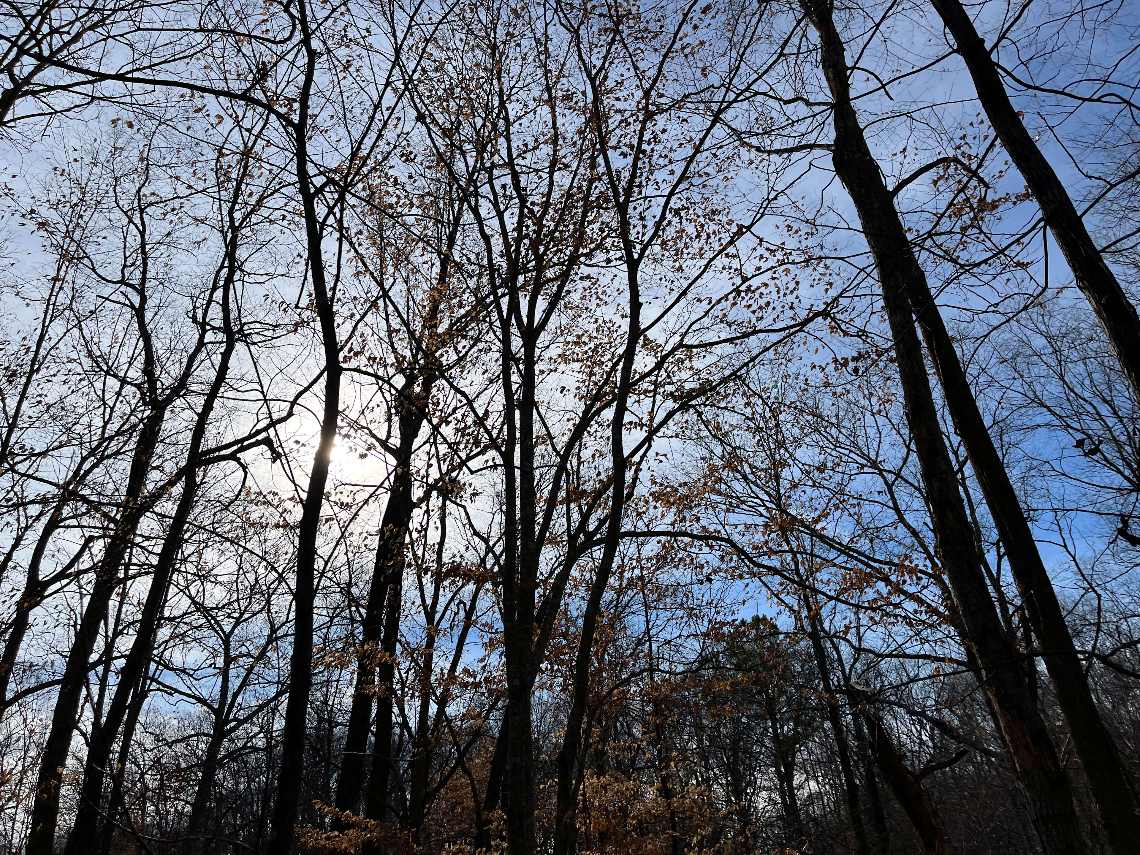 North Durham Creekside Campsite