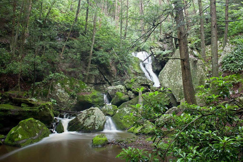 Lehigh Gorge State Park