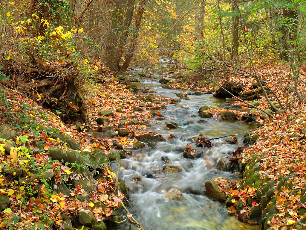 Mont Alto State Park
