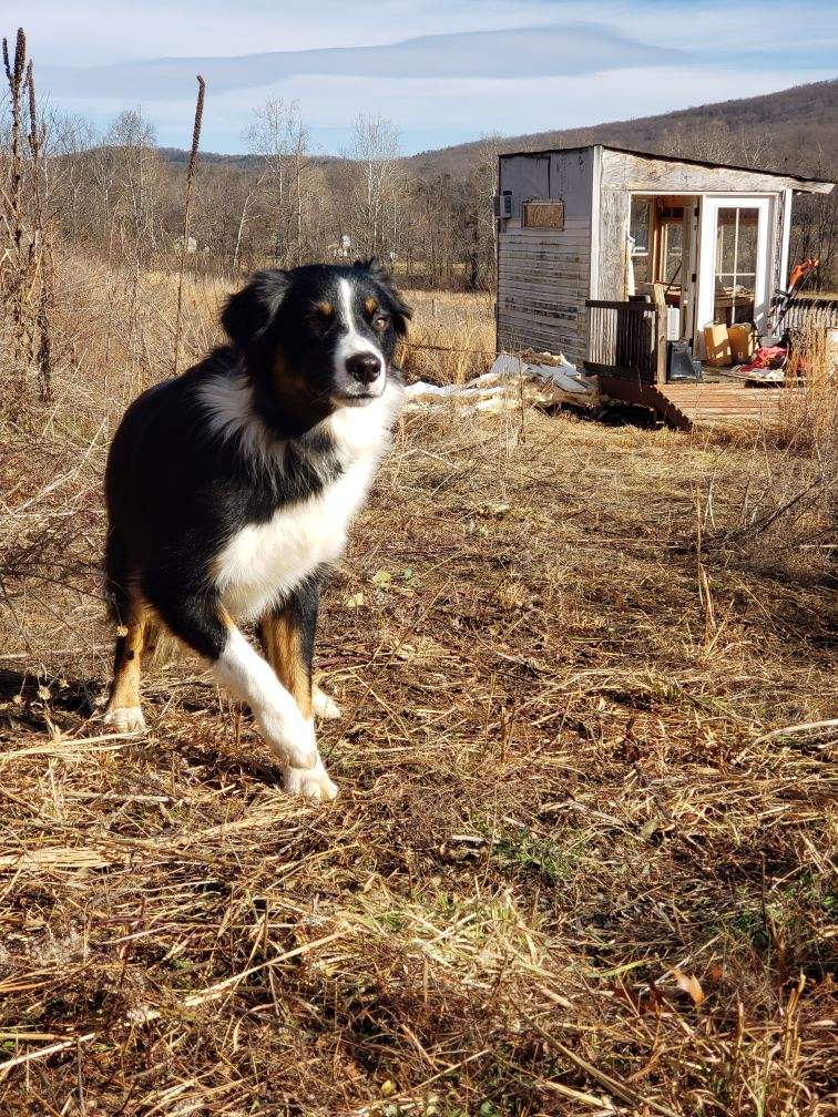 Nelson Family Farm