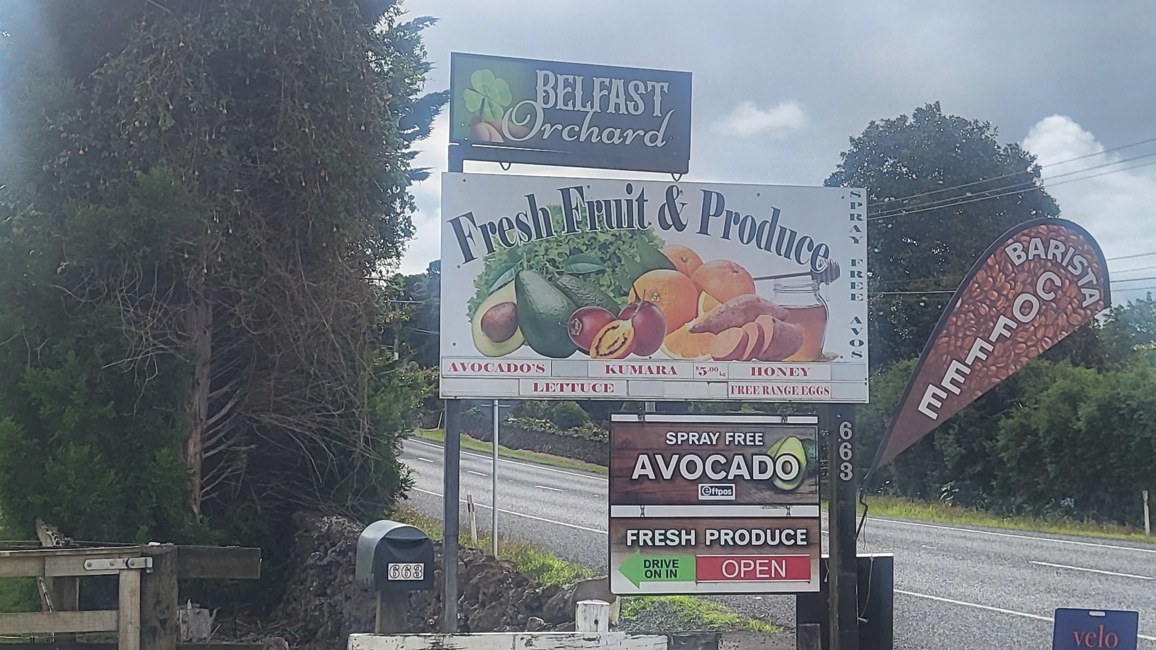 Belfast orchard