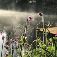 Colehurst Lake