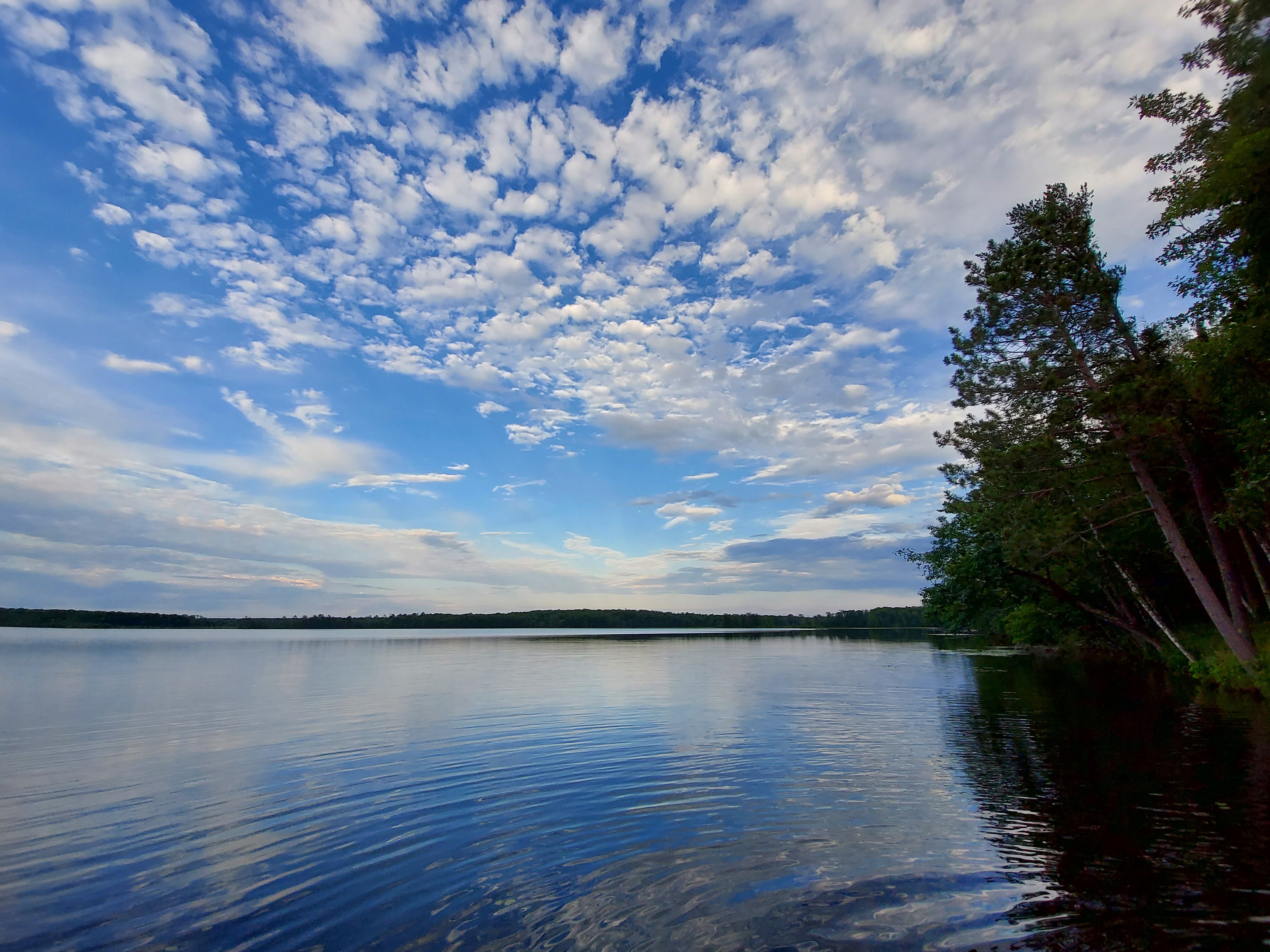 Wise Woods on Fool Lake