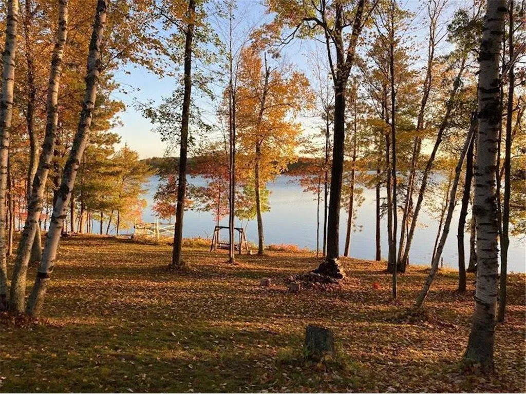 Wise Woods on Fool Lake