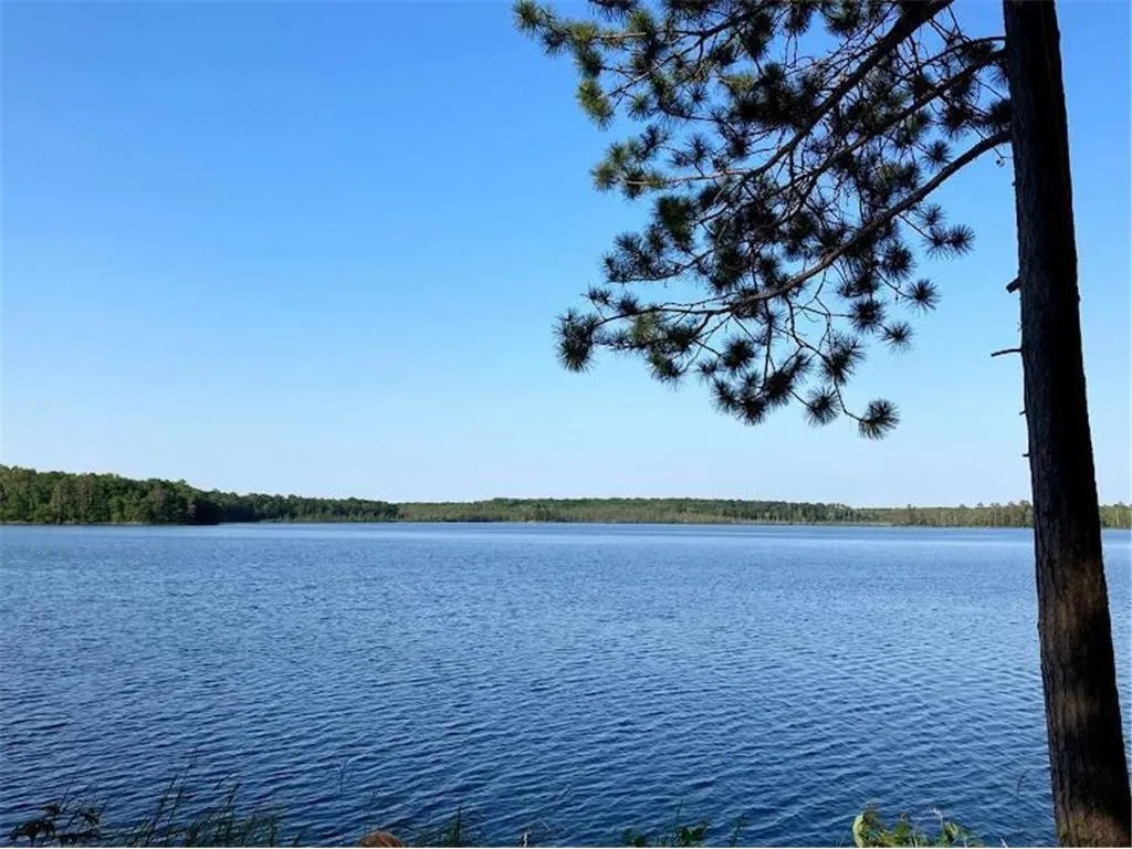 Wise Woods on Fool Lake