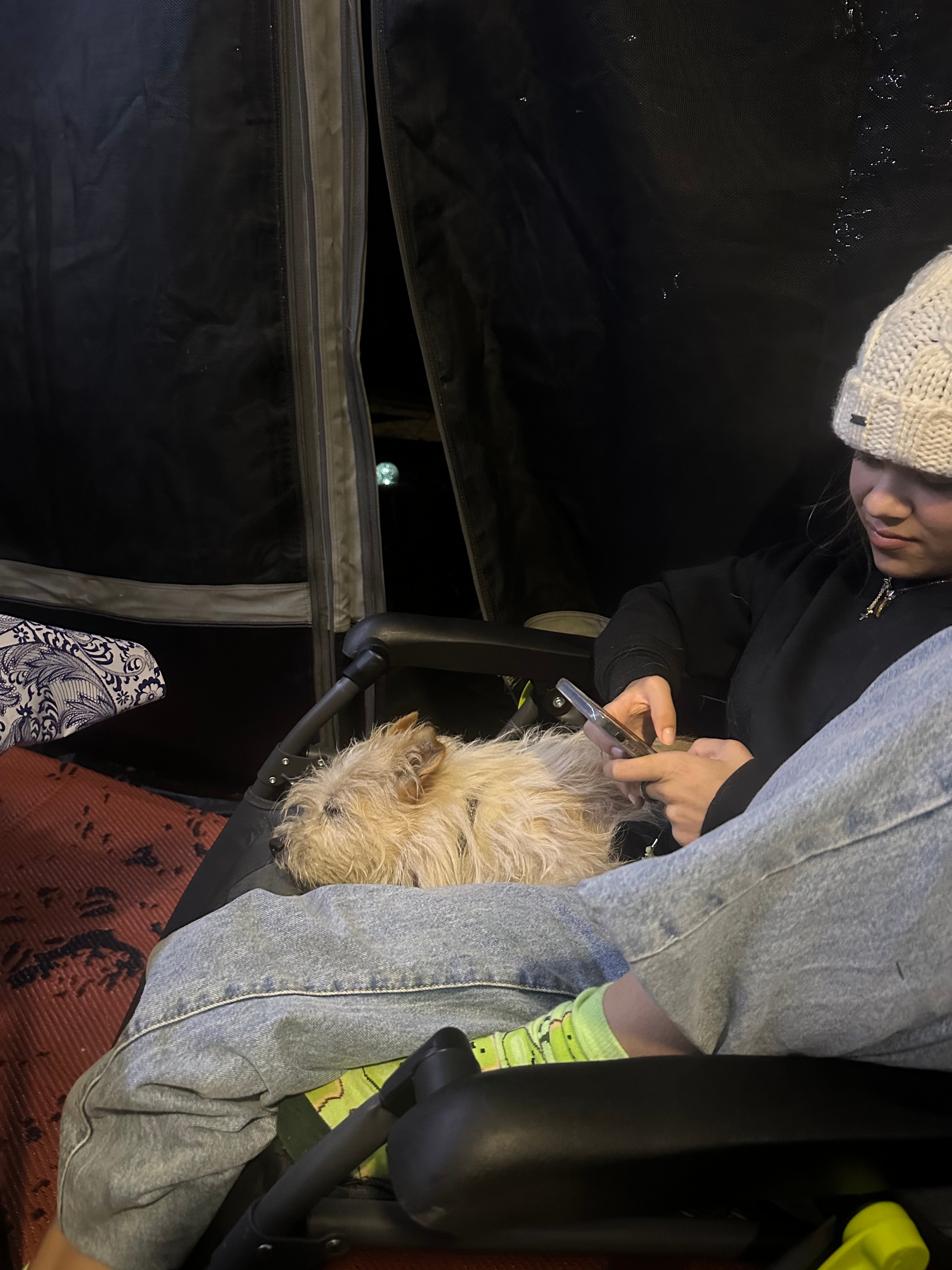 Jarvis Estate Winery & Camping