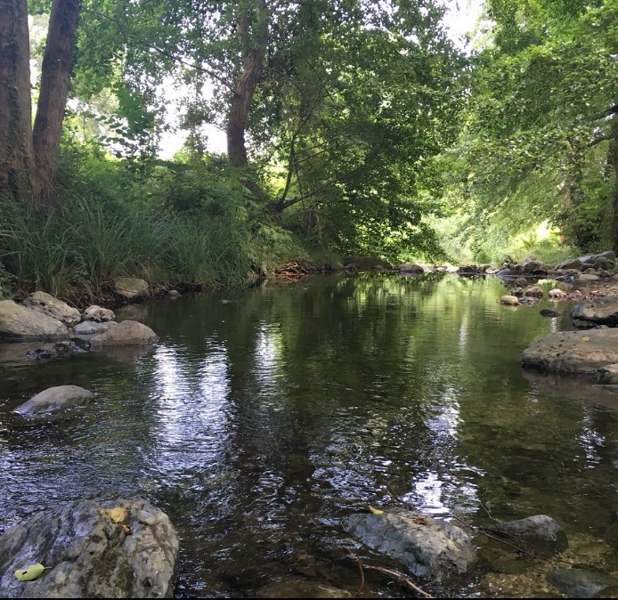 Domaine de Puntimoso