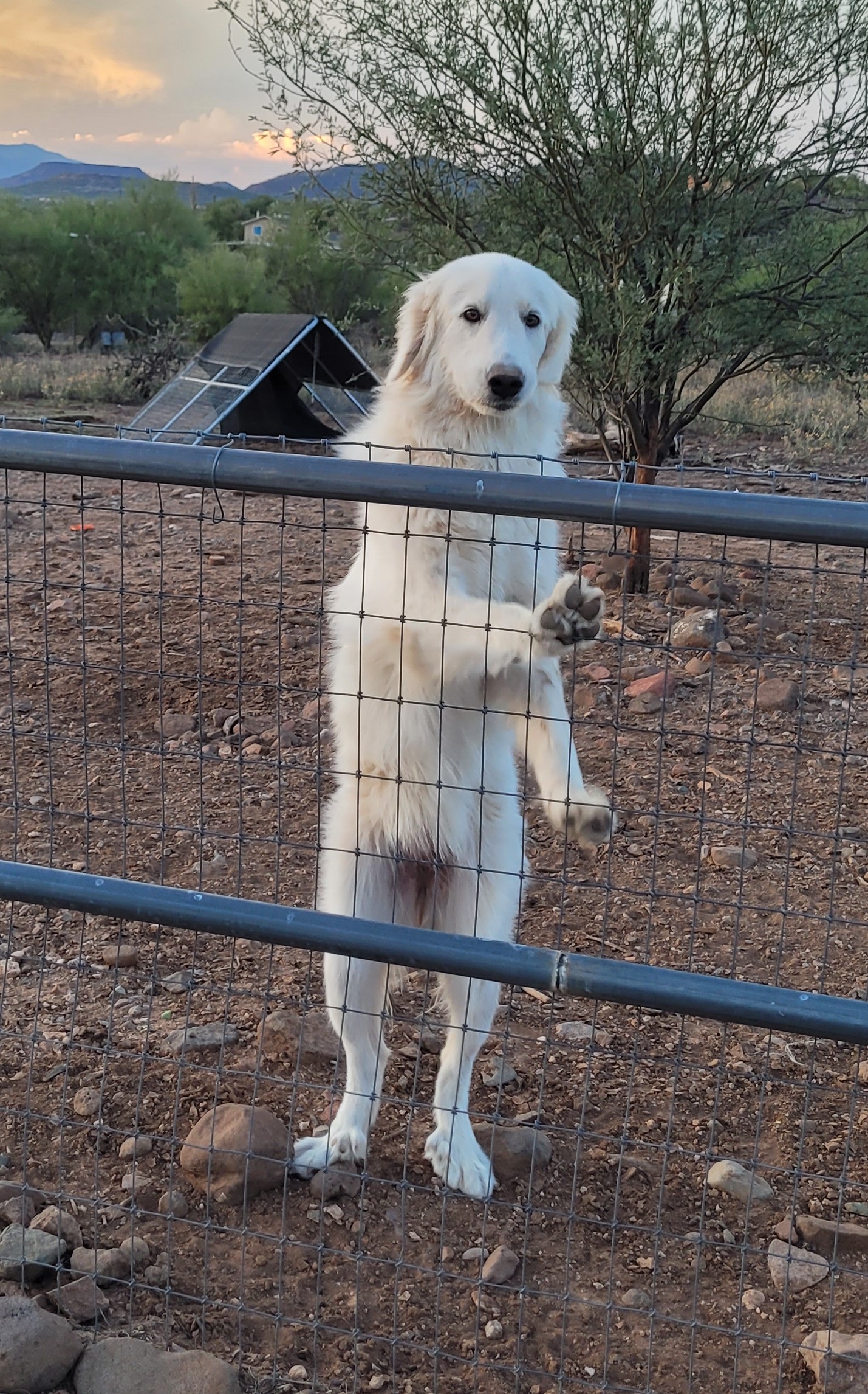 Mountain View Retreat