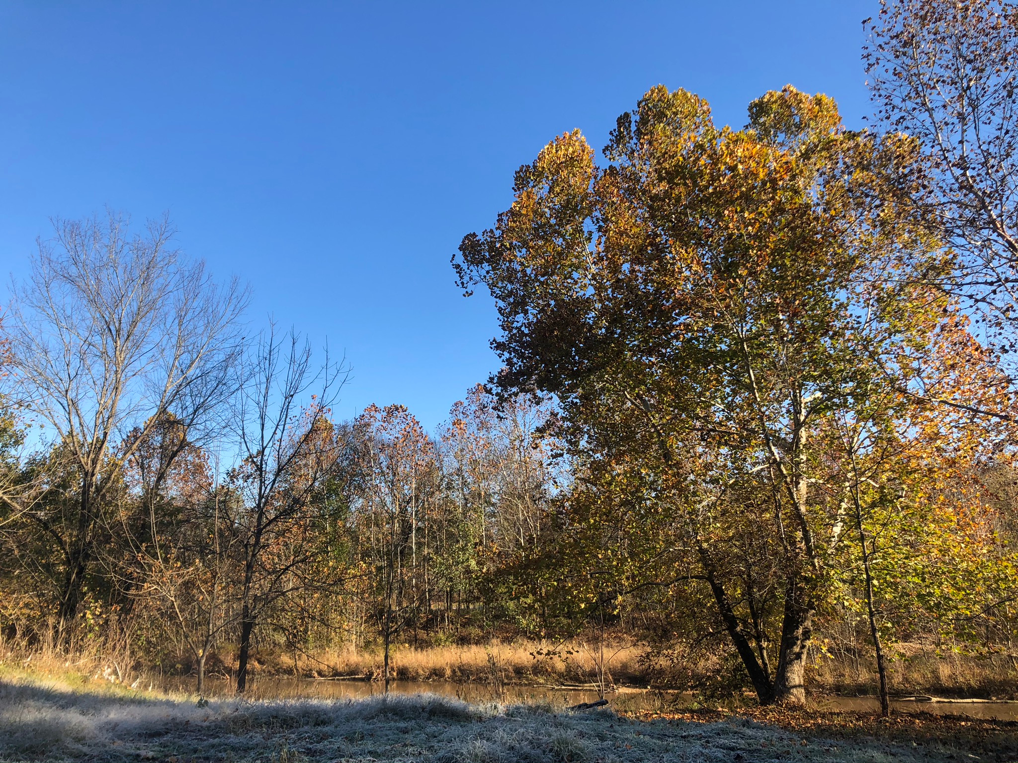 Saco Valley Farm, LLC